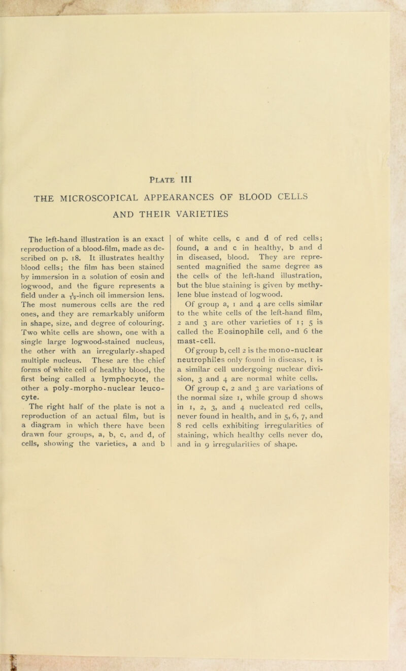 THE MICROSCOPICAL APPEARANCES OF BLOOD CELLS AND THEIR VARIETIES The left-hand illustration is an exact reproduction of a blood-film, made as de- scribed on p. 18. It illustrates healthy blood cells; the film has been stained by immersion in a solution of eosin and logwood, and the figure represents a field under a TV»nch oil immersion lens. The most numerous cells are the red ones, and they are remarkably uniform in shape, size, and degree of colouring. Two white cells are shown, one with a single large logwood-stained nucleus, the other with an irregularly-shaped multiple nucleus. These are the chief forms of white cell of healthy blood, the first being called a lymphocyte, the other a poly-morpho-nuclear leuco- cyte. The right half of the plate is not a reproduction of an actual film, but is a diagram in which there have been drawn four groups, a, b, c, and d, of cells, showing the varieties, a and b of white cells, c and d of red cells; found, a and c in healthy, b and d in diseased, blood. They are repre- sented magnified the same degree as the cells of the left-hand illustration, but the blue staining is given by methy- lene blue instead of logwood. Of group a, i and 4 are cells similar to the white cells of the left-hand film, 2 and 3 are other varieties of 1; 5 is called the Eosinophile cell, and 6 the mast-cell. Of group b, cell 2 is the mono-nuclear neutrophiles only found in disease, 1 is a similar cell undergoing nuclear divi- sion, 3 and 4 are normal white cells. Of group c, 2 and 3 are variations of the normal size 1, while group d shows in 1, 2, 3, and 4 nucleated red cells, never found in health, and in 5, 6, 7, and 8 red cells exhibiting irregularities of staining, which healthy cells never do, and in 9 irregularities of shape.