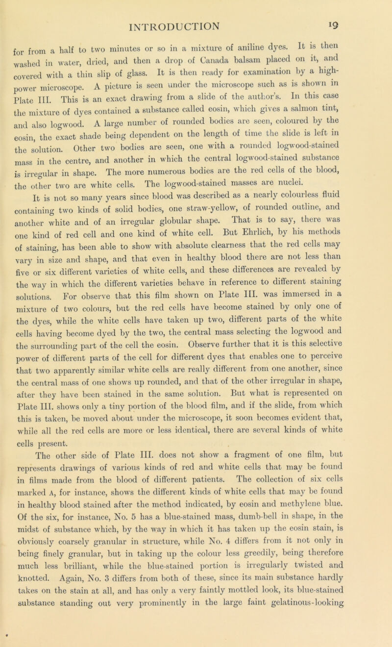 for from a half to two minutes or so in a mixture of aniline dyes. It is then washed in water, dried, and then a drop of Canada balsam placed on it, and covered with a thin slip of glass. It is then ready for examination by a high- power microscope. A picture is seen under the microscope such as is shown in Plate III. This is an exact drawing from a slide of the author’s. In this case the mixture of dyes contained a substance called eosin, which gives a salmon tint, and also logwood. A large number of rounded bodies are seen, coloured by the eosin, the exact shade being dependent on the length of time the slide is left in the solution. Other two bodies are seen, one with a rounded logwood-stained mass in the centre, and another in which the central logwood-stained substance is irregular in shape. The more numerous bodies are the red cells of the blood, the other two are white cells. The logwood-stained masses are nuclei. It is not so many years since blood was described as a nearly colourless fluid containing two kinds of solid bodies, one straw-yellow, of rounded outline, and another white and of an irregular globular shape. That is to say, there was one kind of red cell and one kind of white cell. But Ehrlich, by his methods of staining, has been able to show with absolute clearness that the led cells may vary in size and shape, and that even in healthy blood there are not less than five or six different varieties of white cells, and these differences are revealed by the way in which the different varieties behave in reference to different staining solutions. For observe that this film shown on Plate III. was immersed in a mixture of two colours, but the red cells have become stained by only one of the dyes, while the white cells have taken up two, different parts of the white cells having become dyed by the two, the central mass selecting the logwood and the surrounding part of the cell the eosin. Observe further that it is this selectBo power of different parts of the cell for different dyes that enables one to peiceive that two apparently similar white cells are really different from one another, since the central mass of one shows up rounded, and that of the other irregular in shape, after they have been stained in the same solution. But what is represented on Plate III. shows only a tiny portion of the blood film, and if the slide, from which this is taken, be moved about under the microscope, it soon becomes evident that, while all the red cells are more or less identical, there are several kinds of white cells present. The other side of Plate III. does not show a fragment of one film, but represents drawings of various kinds of red and white cells that may be found in films made from the blood of different patients. The collection of six cells marked A, for instance, shows the different kinds of white cells that may be found in healthy blood stained after the method indicated, by eosin and methylene blue. Of the six, for instance, No. 5 has a blue-stained mass, dumb-bell in shape, in the midst of substance which, by the way in which it has taken up the eosin stain, is obviously coarsely granular in structure, while No. 4 differs from it not only in being finely granular, but in taking up the colour less greedily, being therefore much less brilliant, while the blue-stained portion is irregularly twisted and knotted. Again, No. 3 differs from both of these, since its main substance hardly takes on the stain at all, and has only a very faintly mottled look, its blue-stained substance standing out very prominently in the large faint gelatinous-looking