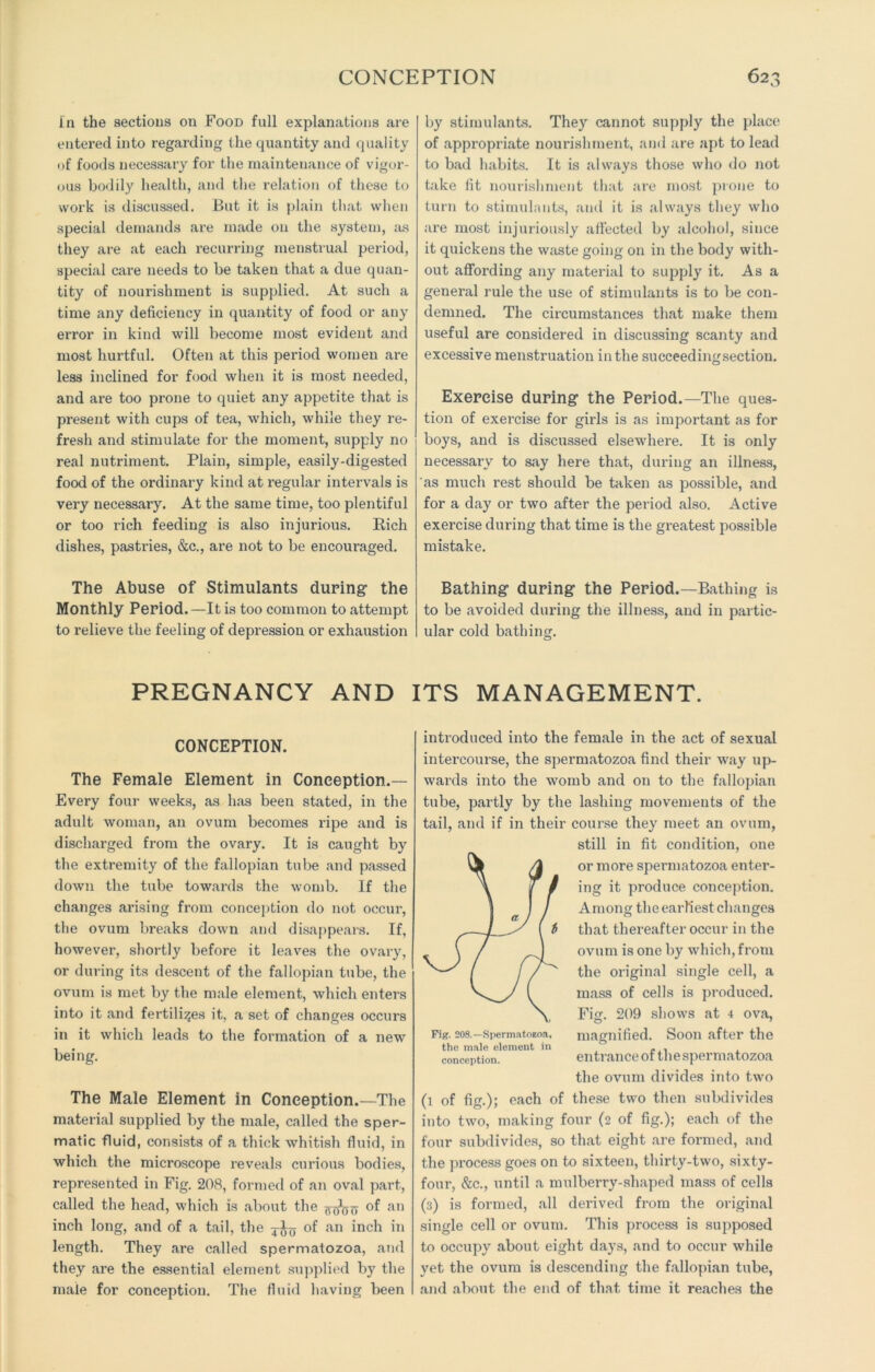 in the sections on Food full explanations are entered into regarding the quantity and quality of foods necessary for the maintenance of vigor- ous bodily health, and the relation of these to work is discussed. But it is plain that when special demands are made on the system, as they are at each recurring menstrual period, special care needs to be taken that a due quan- tity of nourishment is supplied. At such a time any deficiency in quantity of food or any error in kind will become most evident and most hurtful. Often at this period women are less inclined for food when it is most needed, and are too prone to quiet any appetite that is present with cups of tea, which, while they re- fresh and stimulate for the moment, supply no real nutriment. Plain, simple, easily-digested food of the ordinary kind at regular intervals is very necessary. At the same time, too plentiful or too rich feeding is also injurious. Rich dishes, pastries, &c., are not to be encouraged. The Abuse of Stimulants during the Monthly Period.—It is too common to attempt to relieve the feeling of depression or exhaustion by stimulants. They cannot supply the place of appropriate nourishment, and are apt to lead to bad habits. It is always those who do not take fit nourishment that are most prone to turn to stimulants, and it is always they who are most injuriously affected by alcohol, since it quickens the waste going on in the body with- out affording any material to supply it. As a general rule the use of stimulants is to be con- demned. The circumstances that make them useful are considered in discussing scanty and excessive menstruation in the succeedingsectiou. Exercise during the Period.—The ques- tion of exercise for girls is as important as for boys, and is discussed elsewhere. It is only necessary to say here that, during an illness, as much rest should be taken as possible, and for a day or two after the period also. Active exercise during that time is the greatest possible mistake. Bathing during the Period.—Bathing is to be avoided during the illness, and in partic- ular cold bathing. o PREGNANCY AND ITS MANAGEMENT. CONCEPTION. The Female Element in Conception.— Every four weeks, as has been stated, in the adult woman, an ovum becomes ripe and is discharged from the ovary. It is caught by the extremity of the fallopian tube and passed down the tube towards the womb. If the changes arising from conception do not occur, the ovum breaks down and disappears. If, however, shortly before it leaves the ovary, or during its descent of the fallopian tube, the ovum is met by the male element, which enters into it and fertilizes it, a set of changes occurs in it which leads to the formation of a new being. The Male Element in Conception.—The material supplied by the male, called the sper- matic fluid, consists of a thick whitish fluid, in which the microscope reveals curious bodies, represented in Fig. 208, formed of an oval part, called the head, which is about the an inch long, and of a tail, the of an inch in length. They are called spermatozoa, and they are the essential element supplied b}r the male for conception. The fluid having been introduced into the female in the act of sexual intercourse, the spermatozoa find their way up- wards into the womb and on to the fallopian tube, partly by the lashing movements of the tail, and if in their course they meet an ovum, still in fit condition, one or more spermatozoa enter- ing it produce conception. Among the earliest changes that thereafter occur in the ovum is one by which, from the original single cell, a mass of cells is produced. Fig. 209 shows at 4 ova, O 7 Fig. 208.-Spermatozoa, magnified. Soon after the the male element in . . conception. entrance of thespermatozoa the ovum divides into two (1 of fig.); each of these two then subdivides into two, making four (2 of fig.); each of the four subdivides, so that eight are formed, and the process goes on to sixteen, thirty-two, sixty- four, &c., until a mulberry-shaped mass of cells (3) is formed, all derived from the original single cell or ovum. This process is supposed to occupy about eight days, and to occur while yet the ovum is descending the fallopian tube, and about the end of that time it reaches the