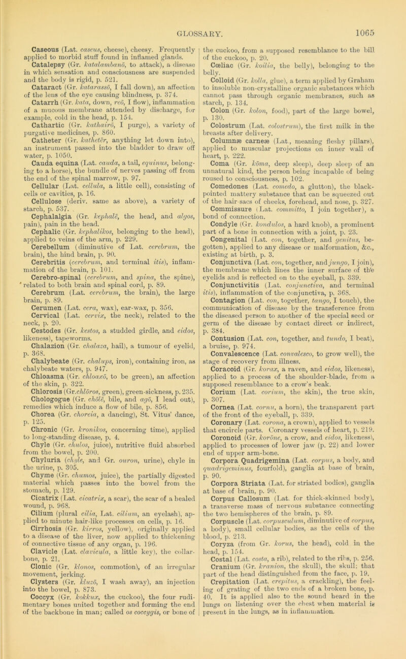 Caseous (Lat. caseus, cheese), cheesy. Frequently applied to morbid stuff found in inflamed glands. Catalepsy (Gr. katalarnbano, to attack), a disease in which sensation and consciousness are suspended and the body is rigid, p. 521. Cataract (Gr. hatarasso, I fall down), an affection of the lens of the eye causing blindness, p. 374. Catarrh (Gr. kata, down, reo, I How), iiiHarnmation of a mucous membrane attended by discharge, for example, cold in the head, p. 154. Cathartic (Gr. kathairo, I purge), a variety of purgative medicines, p. 860. Catheter (Gr. katheter, anything let down into), an instrument passed into the bladder to draw off water, p. 1050. Cauda equina (Lat. cauda, a tail, equinus, belong- ing to a horse), the bundle of nerves passing off from the end of the spinal marrow, p. 97. Cellular (Lat. cellula, a little cell), consisting of cells or cavities, p. 16. Cellulose (deriv. same as above), a variety of starch, p. 537. , Cephalalgia (Gr. kephale, the head, and ahjos, pain), pain in the head. Cephalic (Gr. kephalikos, belonging to the head), applied to veins of the arm, p. 229. Cerebellum (diminutive of Lat. cerebrum, the brain), the hind brain, p. 90. Cerebritis {cerebrum, and terminal itis), inflam- mation of the brain, p. 101. Cerebro-spinal (cerebrum, and spina, the spine), ' related to both brain and spinal cord, p. 89. Cerebrum (Lat. cerebrum, the brain), the large brain, p. 89. Cerumen (Lat. ccra, wax), ear-wax, p. 356. Cervical (I^at. cervix, the neck), related to the neck, p. 20. Cestodes (Gr. kestos, a studded girdle, and eidos, likeness), tapeworms. Chalazion (Gr. chcdaza, hail), a tumour of eyelid, p. 368. Chalybeate (Gr. chalups, iron), containing iron, as chalybeate waters, p. 947. Chloasma (Gr. chloaxd, to be green), an affection of the skin, p. 322. Chlorosis (Gr.chldros, green), gi'een-sickness, p. 235. Chologogue (Gr. choLe, bile, and ago, I lead out), remedies which induce a How of bile, p. 856. Chorea (Gr. choreia, a dancing), St. Vitus’ dance, p. 125. Chronic (Gr. kronikos, concerning time), applied to long-standing disease, p. 4. Chyle (Gr. chuLos, juice), nutritive fluid absorbed from the bowel, p. 200. Chyluria (chi/le, and Gr. ouron, urine), chyle in the urine, p. 305. Chyme (Gr. chumos, juice), the partially digested material which passes into the bowel from the stomach, p. 129. Cicatrix (Lat. cicatrix, a scar), the scar of a healed wound, p. 968. Cilium (plural cilia, Lat. cilium, an eyelash), ap- plied to minute hair-like processes on cells, p. 16. Cirrhosis (Gr. kirros, yellow), originally applied to a disease of the liver, now apj)lied to thiclcening of connective tissue of any organ, p. 196. Clavicle (Lat. clavicula, a little key), the collar- bone, p. 21. Clonic (Gr. klonos, commotion), of an irregular movement, jerking. Clysters (Gr. kluzo, I wash away), an injection into the bowel, p. 873. Coccyx (Gr. kokkux, the cuckoo), the four rudi- mentary bones united together and forming the end of the backbone in man; called os coccygis, or bone of the cuckoo, from a supposed resemblance to the bill of the cuckoo, p. 20. Cceliac (Gr. koilia the belly), belonging to the belly. Colloid (Gr. koUa, glue), a term a]>plied by Graham to insoluble non-crystalline organic substances which cannot pass through organic membranes, such as starch, p. 134. Colon (Gr. kolon, food), jjart of the large bowel, p. 130. Colostrum (Lat. colostrum), the first milk in the breasts after delivery. Columnse carnese (Lat., meaning fleshy pillars), applied to muscular projections on inner wall of heart, p. 222. Coma (Gr. koma, deep sleep), deep sleep of an unnatural kind, the person being incapable of being roused to consciousness, p. 102. Comedones (Lat. comedo, a glutton), the black- pointed mattery substance that can be squeezed out of the hair-sacs of cheeks, forehead, and nose, p. 327. Commissure (Lat. committo, I join together), a bond of connection. Condyle (Gr. kondulos, a hard knob), a prominent part of a bone in connection with a joint, p. 23. Congenital (Lat. con, together, and genitus, be- gotten), applied to any disease or malformation, &c., existing at birth, p. 3. Conjunctiva (Lat. con, together, undjungo, I join), the membrane which lines the inner surface of th'e eyelids and is reflected on to the eyeball, p. 339. Conjunctivitis (Lat. conjunctiva, and terminal itis), inflammation of the conjunctiva, p. 368. Contagion (Lat. con, together, tango, I touch), the communication of disease b3' the transference from the diseased person to another of the special seed or germ of the disease by contact direct or indirect, p. 384. Contusion (Lat. con, together, and tundo, I beat), a bruise, p. 974. Convalescence (Lat. convalcsco, to grow well), the stage of recovery from illness. Coracoid (Gr. korax, a raven, and eidos, likeness), applied to a process of the shoulder-blade, from a supposed resemblance to a crow’s beak. Corium (Lat. corium, the skin), the true skin, p. 307. Cornea (Lat. cornu, a horn), the transparent part of the front of the eyeball, ]>. 339. Coronary (Lat. corona, a crown), applied to vessels that encircle parts. Coronary vessels of lieart, ]x 219. Coronoid (Gr. korone, a crow, and eidos, likenessl, applied to processes of lower jaw (p. 22) and lower end of upper arm-bone. Corpora Quadrigemina (Lat. corpus, a body, and quadrigeminus, fourfold), ganglia at base of brain, p. 90. Corpora Striata (Lat. for striated bodies), ganglia at base of brain, p. 90. Corpus Callosum (I^at. for thick-skinned body), a. transverse mass of nervous substance connecting tbe two hemispheres of the brain, p. 89. Corpuscle (l^at. corpusculum, diminutive of corpus, a body), small cellular bodies, as the cells of the blood, p. 213. Coryza (from Gr. korus, the head), cold in the head, p. 154. Costal (Tiat. costa, a rib), related to the libs, p. 256. Cranium (Gr. kranion, the skull), the skull; that part of the head distinguished from the face, p. 19. Crepitation (T.-at. crepitus, a crackling), the feel- ing of grating of the two ends of a broken bone, p. 40. It is applied also to the sound heard in the lungs on listening over the chest when material is present in the lungs, as in infiammation.