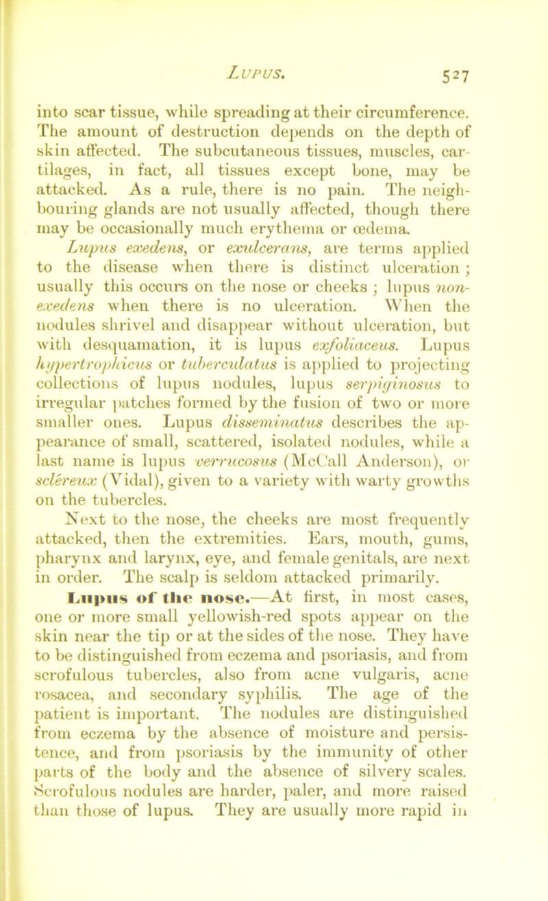 into scar tissue, while spreading at their circumference. The amount of destruction depends on the depth of skin affected. The subcutaneous tissues, muscles, car- tilages, in fact, all tissues except bone, may be attacked. As a rule, there is no pain. The neigh- bouring glands are not usually affected, though there may be occasionally much erythema or oedema. Lupus exedem, or exs.dceram, are terms applied to the disease when there is distinct ulceration; usually this occurs on the nose or cheeks ; lupus non- exedens when there is no ulceration. When the nodules shrivel and disappear without ulceration, but with desquamation, it is lupus exfoliaceus. Lupus hjipertrophicus or tuhercidatus is applied to projecting collections of lupus nodules, lupus serpiyinosus to irregular patches formed by the fusion of two or moi'e smaller ones. Lupus disseminatus describes the ap- j)earance of small, scattered, isolated nodules, while a last name is lupus verrucosus (McCall Anderson), or sclereiuv (Vidal), given to a variety with warty growths on the tubercles. Next to the nose, the cheeks are most frequently attacked, then the extremities. Ears, mouth, gums, pharynx and larynx, eye, and female genitals, are next in order. The scalp is seldom attacked primarily. Liiipiis of tlie nose.—At first, in most cases, one or more small yellowish-red spots appear on the skin near the tip or at the sides of the nose. They have to be distinguished from eczema and psoriasis, and from scrofulous tubercles, also from acne vulgaris, acne I'osacea, and secondary syphilis. The age of the patient is important. The nodules are distinguished from eczema by the absence of moisture and persis- tence, and from psoriasis by the immunity of other l>arts of the body and the aVjsence of silvery scales. Scrofulous nodules are harder, paler, and more raised than tho.se of lupus. They are usually more rapid in