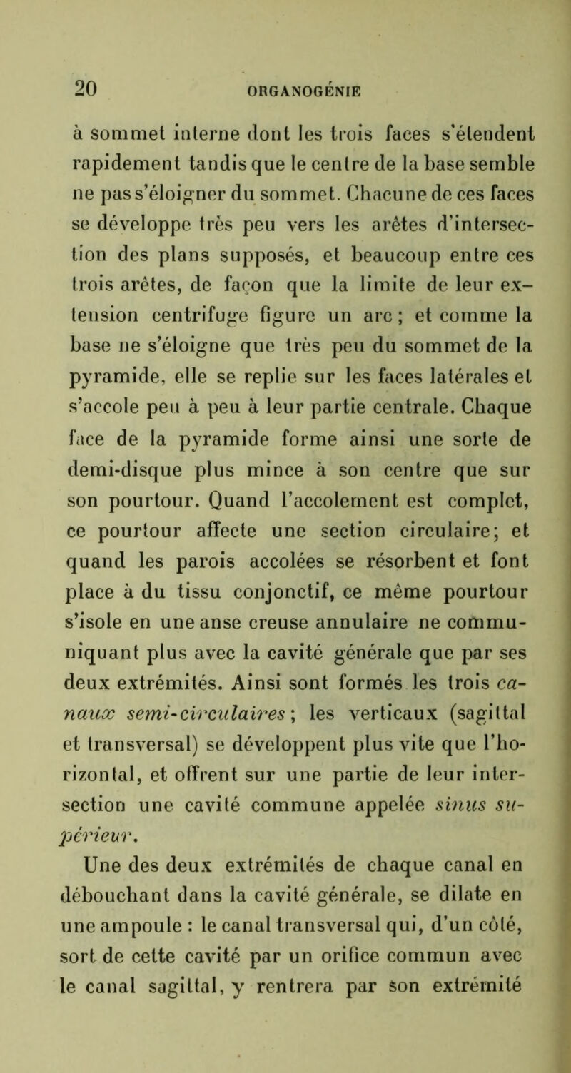 à sommet interne dont les trois faces s'étendent rapidement tandis que le centre de la base semble ne pas s’éloigner du sommet. Chacune de ces faces se développe très peu vers les arêtes d’intersec- tion des plans supposés, et beaucoup entre ces trois arêtes, de façon que la limite de leur ex- tension centrifuge figure un arc ; et comme la base ne s’éloigne que très peu du sommet de la pyramide, elle se replie sur les faces latérales et s’accole peu à peu à leur partie centrale. Chaque face de la pyramide forme ainsi une sorte de demi-disque plus mince à son centre que sur son pourtour. Quand l’accolement est complet, ce pourtour affecte une section circulaire; et quand les parois accolées se résorbent et font place à du tissu conjonctif, ce même pourtour s’isole en une anse creuse annulaire ne commu- niquant plus avec la cavité générale que par ses deux extrémités. Ainsi sont formés les trois ca- naux semi-circulaires ; les verticaux (sagittal et transversal) se développent plus vite que l’ho- rizontal, et otîrent sur une partie de leur inter- section une cavité commune appelée sinus su- périeur. Une des deux extrémités de chaque canal en débouchant dans la cavité générale, se dilate en une ampoule : le canal transversal qui, d’un côté, sort de cette cavité par un orifice commun avec le canal sagittal, y rentrera par son extrémité