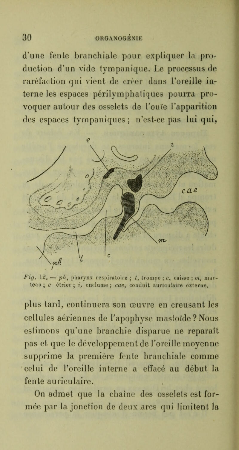 d'une fente branchiale pour expliquer la pro- duction d’un vide tympanique. Le processus de raréfaction qui vient de créer dans l’oreille in- terne les espaces périlyinphatiques pourra pro- voquer autour des osselets de l’ouïe l’apparition des espaces tyinpaniques ; n’est-ce pas lui qui, t'ig. 12. — ph, pharynx respiratoire ; t, trompe ; c, caisse ; m, mar- teau j e étrier; i, enclume; cae, conduit auriculaire externe. plus tard, continuera son œuvre en creusant les cellules aériennes de l’apophyse masloïde?Nous estimons qu’une branchie disparue ne reparaît pas et que le développement de l’oreille moyenne supprime la première fente branchiale comme celui de l’oreille interne a effacé au début la fente auriculaire. On admet que la chaîne des osselets est for- mée par la jonction de deux .arcs qui limitent la