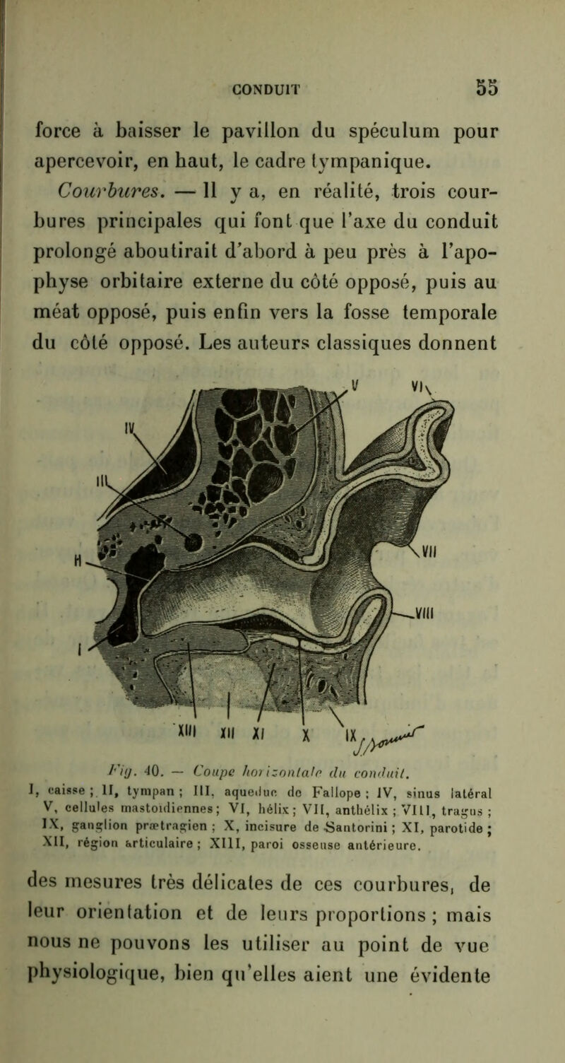 force à baisser le pavillon du spéculum pour apercevoir, en haut, le cadre Ivmpanique. Courbures. — 11 va, en réalité, trois cour- bures principales qui font que l’axe du conduit prolongé aboutirait d’abord à peu près à l’apo- physe orbitaire externe du côté opposé, puis au méat opposé, puis enfin vers la fosse temporale du côté opposé. Les auteurs classiques donnent Fiy. 40. — Coupe horizontale du conduit. I» caisse ; II, tympan ; III, aqueduc do Fallope ; IV, sinus latéral V, cellules mastoïdiennes; VI, hélix; VII, anthélix ; VIII, tragus ; IX, ganglion prœtragien ; X, incisure de «antorini ; XI, parotide; XII, région articulaire; XIII, paroi osseuse antérieure. des mesures très délicates de ces courburesj de leur orientation et de leurs proportions ; mais nous ne pouvons les utiliser au point de vue physiologique, bien qu’elles aient une évidente