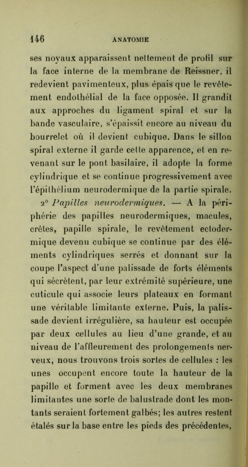 ses noyaux apparaissent nettement de profil sur la face interne de la membrane de Reissner, il redevient pavimenteux, plus épais que le revête- ment endothélial de la face opposée. Il grandit aux approches du ligament spiral et sur la bande vasculaire, s’épaissit encore au niveau du bourrelet où il devient cubique. Dans le sillon spiral externe il garde celte apparence, et en re- venant sur le pont basilaire, il adopte la forme cylindrique et se continue progressivement avec l’épithélium neurodermique de la partie spirale. 2° Papilles neurodermiques. — A la péri- phérie des papilles neurodermiques, macules, crêtes, papille spirale, le revêtement ectoder- mique devenu cubique se continue par des élé- ments cylindriques serrés et donnant sur la coupe l’aspect d’une palissade de forts éléments qui sécrètent, par leur extrémité supérieure, une cuticule qui associe leurs plateaux en formant une véritable limitante externe. Puis, la palis- sade devient irrégulière, sa hauteur est occupée par deux cellules au lieu d’une grande, et au niveau de l’affleurement des prolongements ner- veux, nous trouvons trois sortes de cellules : les unes occupent encore toute la hauteur de la papille et forment avec les deux membranes limitantes une sorte de balustrade dont les mon- tants seraient fortement galbés; les autres restent étalés sur la base entre les pieds des précédentes,