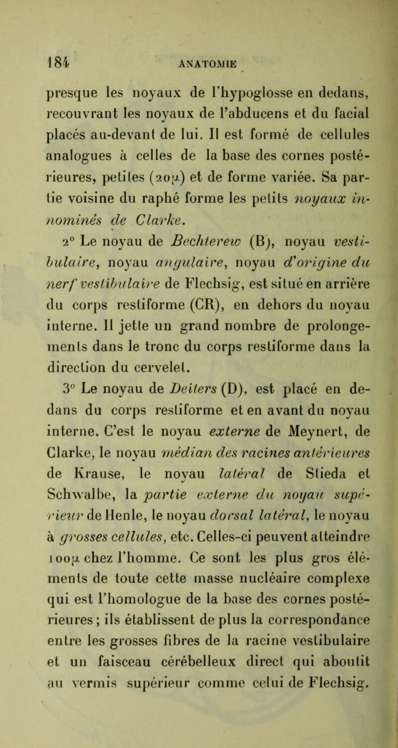 presque les noyaux de l’hypoglosse en dedans, recouvrant les noyaux de l’abducens et du facial placés au-devant de lui. II est formé de cellules analogues à celles de la base des cornes posté- rieures, petites (20p.) et de forme variée. Sa par- tie voisine du raphé forme les petits noyaux in- nommés de Clarke. 20 Le noyau de Bechterew (Bj, noyau vesti- bulaire, noyau angulaire, noyau d'origine du nerf vestibulaire de Flechsig, est situé en arrière du corps restiforme (CR), en dehors du noyau interne. Il jette un grand nombre de prolonge- ments dans le tronc du corps restiforme dans la direction du cervelet. 3° Le noyau de Deiters (D), est placé en de- dans du corps restiforme et en avant du noyau interne. C’est le noyau externe de Meynert, de Clarke, le noyau médian des racines antérieures de Krause, le noyau latéral de Stieda et Schwalbe, la partie externe du noyau supé- rieur deHenle, le noyau dorsal latéral, le noyau à grosses cellules, etc. Celles-ci peuvent atteindre îoop chez l’homme. Ce sont les plus gros élé- ments de toute cette masse nucléaire complexe qui est l’homologue de la base des cornes posté- rieures ; ils établissent de plus la correspondance entre les grosses fibres de la racine vestibulaire et un faisceau cérébelleux direct qui aboutit au vermis supérieur comme celui de Flechsig.