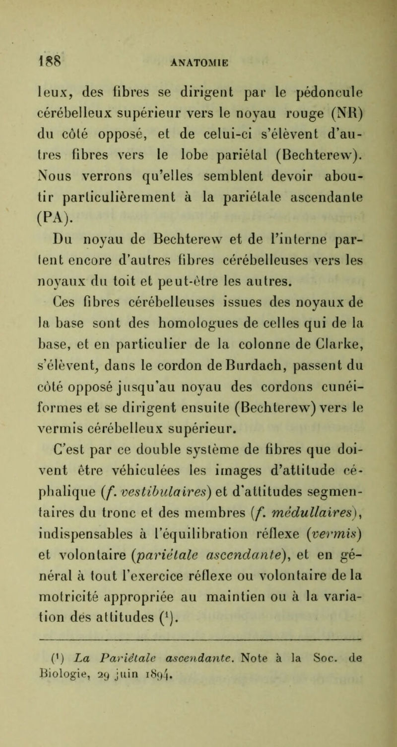 leux, des fibres se dirigent par le pédoncule cérébelleux supérieur vers le noyau rouge (NR) du côté opposé, et de celui-ci s’élèvent d’au- tres fibres vers le lobe pariétal (Bechterevv). Nous verrons qu’elles semblent devoir abou- tir particulièrement à la pariétale ascendante (PA). Du noyau de Bechterevv et de l’interne par- lent encore d’autres fibres cérébelleuses vers les noyaux du toit et peut-être les autres. Ces fibres cérébelleuses issues des noyaux de la base sont des homologues de celles qui de la base, et en particulier de la colonne de Clarke, s’élèvent, dans le cordon deBurdach, passent du côté opposé jusqu’au noyau des cordons cunéi- formes et se dirigent ensuite (Bechterew) vers le vermis cérébelleux supérieur. C’est par ce double système de fibres que doi- vent être véhiculées les images d’attitude cé- phalique (/*. vestibulaires) et d'attitudes segmen- taires du tronc et des membres (f. médullaires), indispensables à l’équilibration réflexe {vermis) et volontaire {pariétale ascendante), et en gé- néral à tout l’exercice réflexe ou volontaire delà motricité appropriée au maintien ou à la varia- tion dés attitudes J1). (•) La Pariétale ascendante. Note à la Soc. de Biologie, 29 juin 1894.