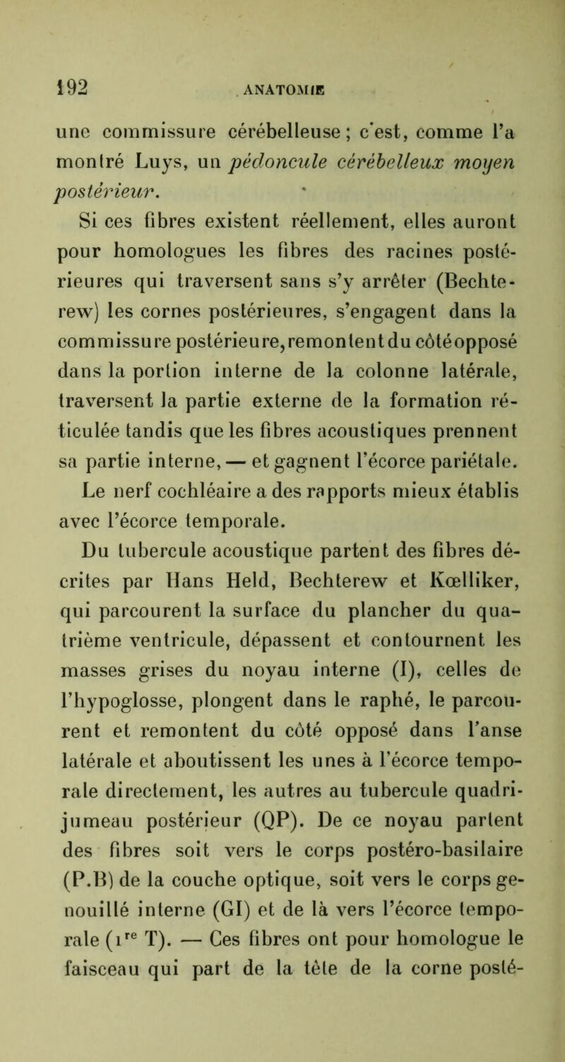 une commissure cérébelleuse; c’est, comme l’a montré Luys, m\ pédoncule cérébelleux moyen postérieur. Si ces fibres existent réellement, elles auront pour homologues les fibres des racines posté- rieures qui traversent sans s’y arrêter (Bechte- rew) les cornes postérieures, s’engagent dans la commissure postérieure,remonlentdu côtéopposé dans la portion interne de la colonne latérale, traversent la partie externe de la formation ré- ticulée tandis que les fibres acoustiques prennent sa partie interne, — et gagnent l’écorce pariétale. Le nerf cochléaire a des rapports mieux établis avec l’écorce temporale. Du tubercule acoustique partent des fibres dé- crites par Hans Held, Bechterew et Kœlliker, qui parcourent la surface du plancher du qua- trième ventricule, dépassent et contournent les masses grises du noyau interne (I), celles de l’hypoglosse, plongent dans le raphé, le parcou- rent et remontent du côté opposé dans l’anse latérale et aboutissent les unes à l’écorce tempo- rale directement, les autres au tubercule quadri- jumeau postérieur (QP). De ce noyau parlent des fibres soit vers le corps postéro-basilaire (P.B) de la couche optique, soit vers le corps ge- nouillé interne (GI) et de là vers l’écorce tempo- rale (ire T). — Ces fibres ont pour homologue le faisceau qui part de la tète de la corne posté-