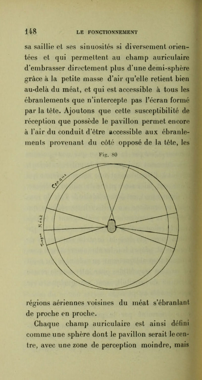 sa saillie et ses sinuosités si diversement orien- tées et qui permettent au champ auriculaire d’embrasser directement plus d’une demi-sphère grâce à la petite masse d’air qu’elle retient bien au-delà du méat, et qui est accessible à tous les ébranlements que n’intercepte pas l’écran formé par la tête. Ajoutons que cette susceptibilité de réception que possède le pavillon permet encore à l’air du conduit d’être accessible aux ébranle- ments provenant du côté opposé de la tète, les Fi s. 80 régions aériennes voisines du méat s’ébranlant de proche en proche. Chaque champ auriculaire est ainsi défini comme une sphère dont le pavillon serait le cen- tre, avec une zone de perception moindre, mais