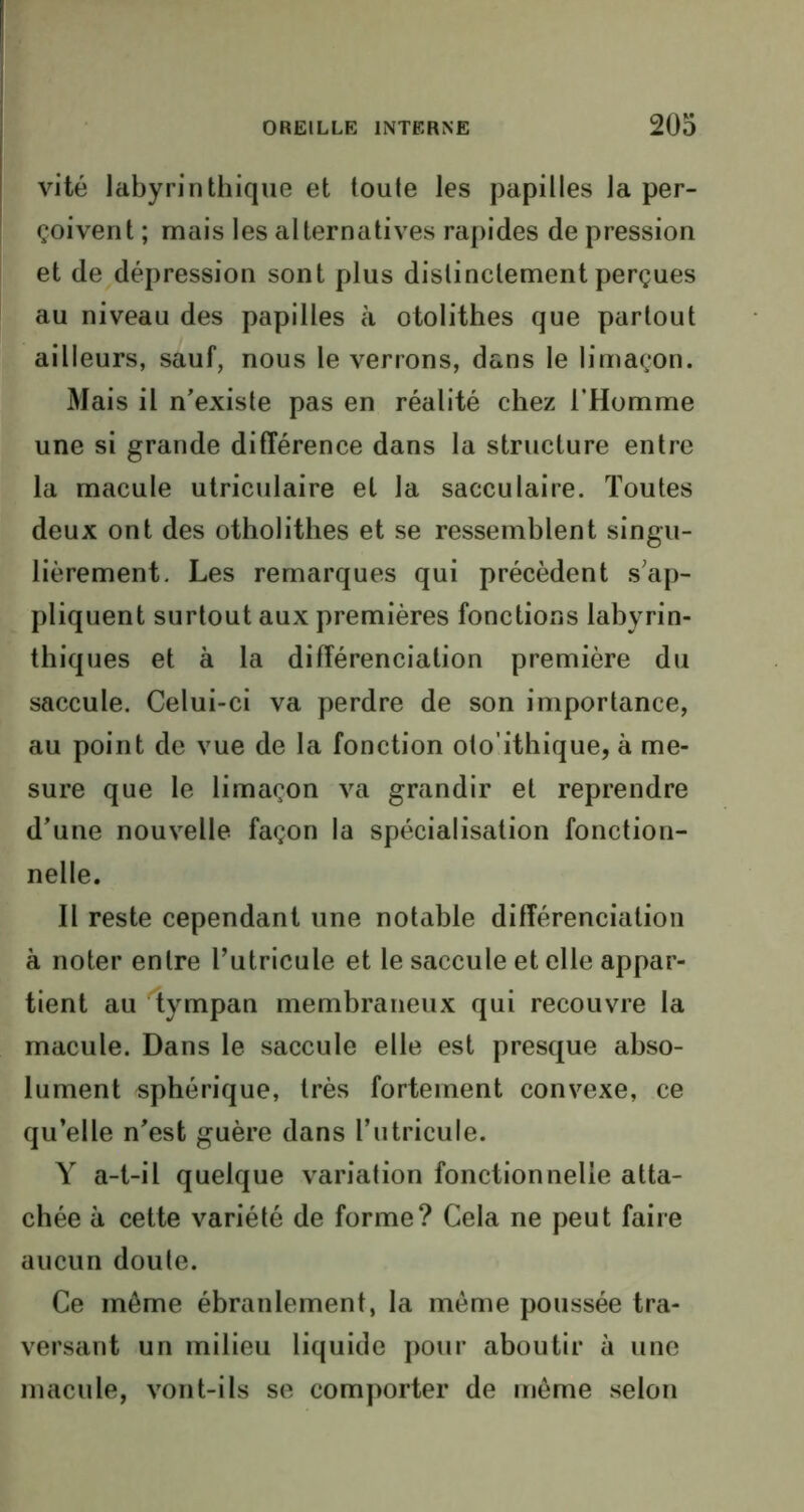 vite labyrinthique et toute les papilles la per- çoivent ; mais les alternatives rapides de pression et de dépression sont plus distinctement perçues au niveau des papilles à otolithes que partout ailleurs, sauf, nous le verrons, dans le limaçon. Mais il n’existe pas en réalité chez l’Homme une si grande différence dans la structure entre la macule utriculaire et la sacculaire. Toutes deux ont des otholithes et se ressemblent singu- lièrement. Les remarques qui précèdent s'ap- pliquent surtout aux premières fonctions labyrin- thiques et à la différenciation première du saccule. Celui-ci va perdre de son importance, au point de vue de la fonction oto’ithique, à me- sure que le limaçon va grandir et reprendre d’une nouvelle façon la spécialisation fonction- nelle. Il reste cependant une notable différenciation à noter entre l’utricule et le saccule et elle appar- tient au tympan membraneux qui recouvre la macule. Dans le saccule elle est presque abso- lument sphérique, très fortement convexe, ce qu’elle n’est guère dans l’utricule. Y a-t-il quelque variation fonctionnelle atta- chée à cette variété de forme? Cela ne peut faire aucun doute. Ce même ébranlement, la même poussée tra- versant un milieu liquide pour aboutir à une macule, vont-ils se comporter de même selon