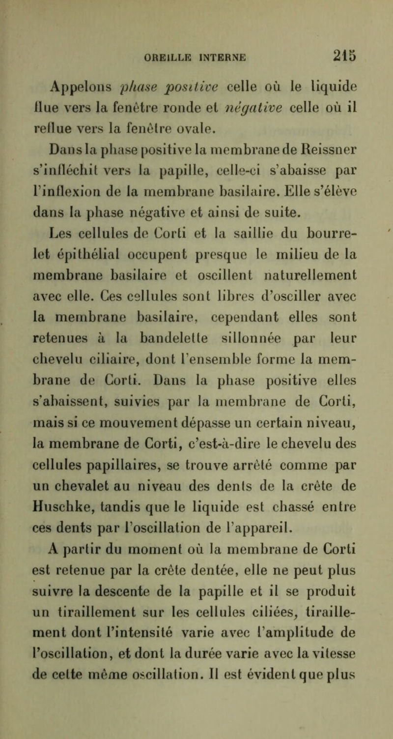 Appelons phase positive celle où le liquide llue vers la fenêtre ronde et négative celle où il rellue vers la fenêtre ovale. Dans la phase positive la membrane de Reissner s’infléchit vers la papille, celle-ci s’abaisse par l’inflexion de la membrane basilaire. Elle s’élève dans la phase négative et ainsi de suite. Les cellules de Corti et la saillie du bourre- let épithélial occupent presque le milieu de la membrane basilaire et oscillent naturellement avec elle. Ces cellules sont libres d’osciller avec la membrane basilaire, cependant elles sont retenues à la bandelette sillonnée par leur chevelu ciliaire, dont l’ensemble forme la mem- brane de Corti. Dans la phase positive elles s’abaissent, suivies par la membrane de Corti, mais si ce mouvement dépasse un certain niveau, la membrane de Corti, c’est-à-dire le chevelu des cellules papillaires, se trouve arrêté comme par un chevalet au niveau des dents de la crête de Huschke, tandis que le liquide est chassé entre ces dents par l’oscillation de l’appareil. A partir du moment où la membrane de Corti est retenue par la crête dentée, elle ne peut plus suivre la descente de la papille et il se produit un tiraillement sur les cellules ciliées, tiraille- ment dont l’intensité varie avec l’amplitude de l’oscillation, et dont la durée varie avec la vitesse de cette même oscillation. Il est évident que plus