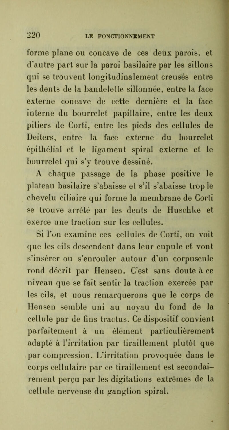 forme plane ou concave de ces deux parois, et d’autre part sur la paroi basilaire par les sillons qui se trouvent longitudinalement creusés entre les dents de la bandelette sillonnée, entre la face externe concave de cette dernière et la face interne du bourrelet papillaire, entre les deux piliers de Corti, entre les pieds des cellules de Deiters, entre la face externe du bourrelet épithélial et le ligament spiral externe et le bourrelet qui s’y trouve dessiné. A chaque passage de la phase positive le plateau basilaire s’abaisse et s’il s’abaisse trop le chevelu ciliaire qui forme la membrane de Corti se trouve arrêté par les dents de Ifuschke et exerce une traction sur les cellules. Si l’on examine ces cellules de Corti, on voit que les cils descendent dans leur cupule et vont s’insérer ou s’enrouler autour d’un corpuscule rond décrit par Hensen. C’est sans doute à ce niveau que se fait sentir la traction exercée par les cils, et nous remarquerons que le corps de Ilensen semble uni au noyau du fond de la cellule par de lins tractus. Ce dispositif convient parfaitement à un élément particulièrement adapté à l’irritation par tiraillement plutôt que par compression. L’irritation provoquée dans le corps cellulaire par ce tiraillement est secondai- rement perçu par les digitations extrêmes de la cellule nerveuse du ganglion spiral.