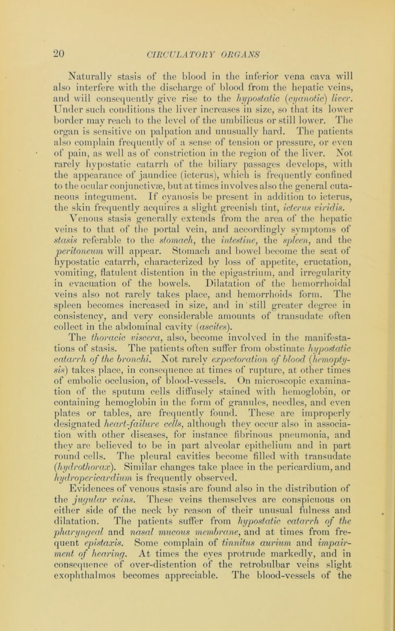 Naturally stasis of the blood in the inferior vena cava will also interfere with the discharge of blood from the hepatic veins, and will consequently give rise to the hypostatic (cyanotic) liver. Under such conditions the liver increases in size, so that its lower border may reach to the level of the umbilicus or still lower. The organ is sensitive on palpation and unusually hard. The patients also complain frequently of a sense of tension or pressure, or even of pain, as well as of constriction in the region of the liver. Not rarely hypostatic catarrh of the biliary passages develops, with the appearance of jaundice (icterus), which is frequently confined to the ocular conjunctivae, but at times involves also the general cuta- neous integument. If cyanosis be present in addition to icterus, the skin frequently acquires a slight greenish tint, icterus viridis. Venous stasis generally extends from the area of the hepatic veins to that of the portal vein, and accordingly symptoms of stasis referable to the stomach, the intestine, the spleen, and the peritoneum will appear. Stomach and bowel become the seat of hypostatic catarrh, characterized by loss of appetite, eructation, vomiting, flatulent distention in the epigastrium, and irregularity in evacuation of the bowels. Dilatation of the hemorrhoidal veins also not rarely takes place, and hemorrhoids form. The spleen becomes increased in size, and in still greater degree in consistency, and very considerable amounts of transudate often collect in the abdominal cavity (ascites). The thoracic viscera, also, become involved in the manifesta- tions of stasis. The patients often suffer from obstinate hypostatic catarrh of the bronchi. Not rarely expectoration of blood (hemopty- sis) takes place, in consequence at times of rupture, at other times of embolic occlusion, of blood-vessels. On microscopic examina- tion of the sputum cells diffusely stained with hemoglobin, or containing hemoglobin in the form of granules, needles, and even plates or tables, are frequently found. These are improperly designated heart-failure cells, although they occur also in associa- tion with other diseases, for instance fibrinous pneumonia, and they are believed to be in part alveolar epithelium and in part round cells. The pleural cavities become filled with transudate (hydrothorax). Similar changes take place in the pericardium, and hydropericardium is frequently observed. Evidences of venous stasis are found also in the distribution of the jugular veins. These veins themselves are conspicuous on either side of the neck by reason of their unusual fulness and dilatation. The patients suffer from hypostatic catarrh of the pharyngeal and nasal mucous membrane, and at times from fre- quent epistaxis. Some complain of tinnitus aurium and impair- ment of hearing. At times the eyes protrude markedly, and in consequence of over-distention of the retrobulbar veins slight exophthalmos becomes appreciable. The blood-vessels of the