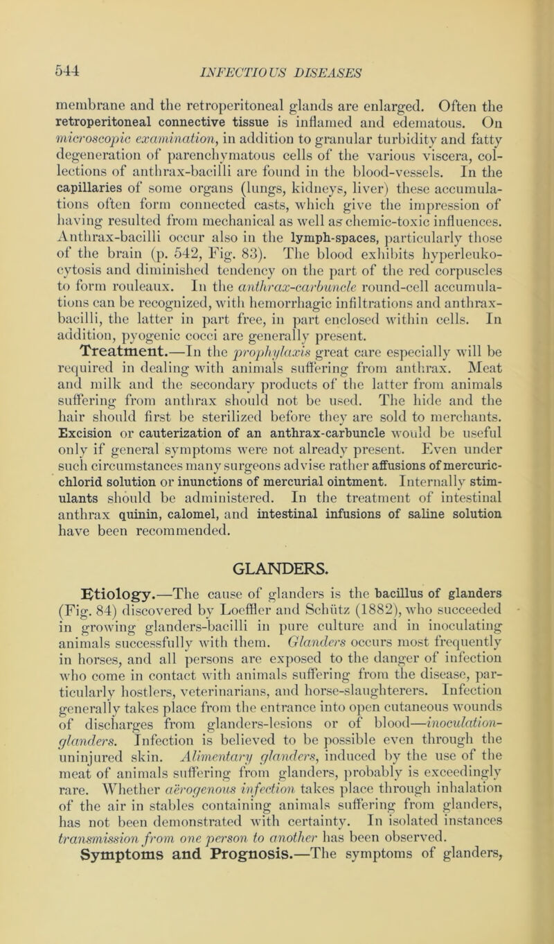 membrane and the retroperitoneal glands are enlarged. Often the retroperitoneal connective tissue is inflamed and edematous. On microscopic examination, in addition to granular turbidity and fatty degeneration of parenchymatous cells of the various viscera, col- lections of anthrax-bacilli are found in the blood-vessels. In the capillaries of some organs (lungs, kidneys, liver) these accumula- tions often form connected casts, which give the impression of having resulted from mechanical as well aschemic-toxic influences. Anthrax-bacilli occur also in the lymph-spaces, particularly those of the brain (p. 542, Fig. 83). The blood exhibits hyperleuko- cytosis and diminished tendency on the part of the red corpuscles to form rouleaux. In the anthrax-carbuncle round-cell accumula- tions can be recognized, with hemorrhagic infiltrations and anthrax- bacilli, the latter in part free, in part enclosed within cells. In addition, pyogenic cocci are generally present. Treatment.—In the prophylaxis great care especially will be required in dealing with animals suffering from anthrax. Meat and milk and the secondary products of the latter from animals suffering from anthrax should not be used. The hide and the hair should first be sterilized before they are sold to merchants. Excision or cauterization of an anthrax-carbuncle would be useful only if general symptoms were not already present. Even under such circumstances many surgeons advise rather affusions of mercuric- chlorid solution or inunctions of mercurial ointment. Internally stim- ulants should be administered. In the treatment of intestinal anthrax quinin, calomel, and intestinal infusions of saline solution have been recommended. GLANDERS. Etiology.—The cause of glanders is the bacillus of glanders (Fig. 84) discovered by Loeffler and Schütz (1882), who succeeded in growing glanders-bacilli in pure culture and in inoculating animals successfully with them. Glanders occurs most frequently in horses, and all persons are exposed to the danger of infection who come in contact with animals suffering from the disease, par- ticularly hostlers, veterinarians, and horse-slaughterers. Infection generally takes place from the entrance into open cutaneous wounds of discharges from glanders-lesions or of blood—inoculation- glanders. Infection is believed to be possible even through the uninjured skin. Alimentary glanders, induced by the use of the meat of animals suffering from glanders, probably is exceedingly rare. Whether aerogenous infection takes place through inhalation of the air in stables containing animals suffering from glanders, has not been demonstrated with certainty. In isolated instances transmission from one person to another has been observed. Symptoms and Prognosis.—The symptoms of glanders,