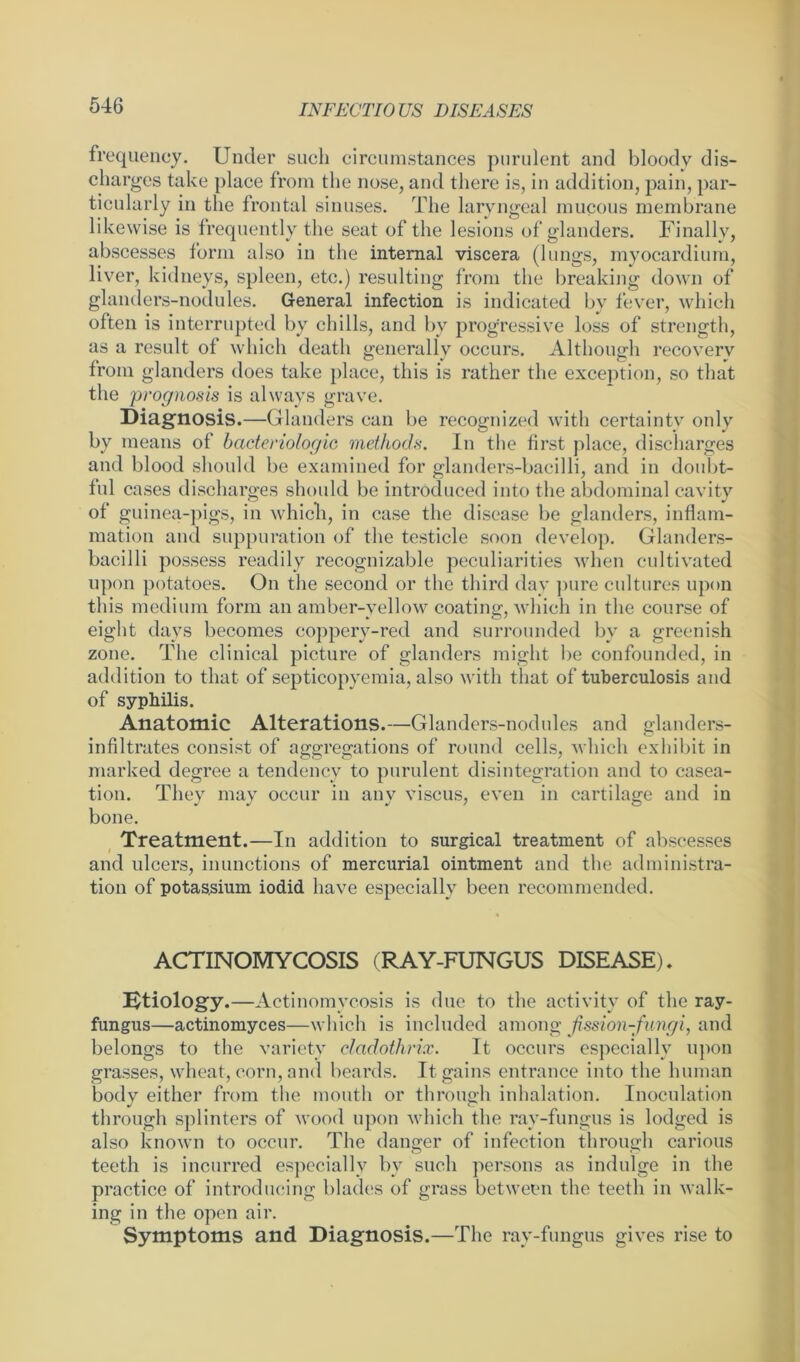 frequency. Under such circumstances purulent and bloody dis- charges take place from the nose, and there is, in addition, pain, par- ticularly in the frontal sinuses. The laryngeal mucous membrane likewise is frequently the seat of the lesions of glanders. Finally, abscesses form also in the internal viscera (lungs, myocardium, liver, kidneys, spleen, etc.) resulting from the breaking down of glanders-nodules. General infection is indicated by fever, which often is interrupted by chills, and bv progressive loss of strength, as a result of which death generally occurs. Although recovery from glanders does take place, this is rather the exception, so that the prognosis is always grave. Diagnosis.—Glanders can be recognized with certainty only by means of badenologic methods. In the first place, discharges and blood should be examined for glanders-bacilli, and in doubt- ful cases discharges should be introduced into the abdominal cavity of guinea-pigs, in which, in case the disease be glanders, inflam- mation and suppuration of the testicle soon develop. Glanders- bacilli possess readily recognizable peculiarities when cultivated upon potatoes. On the second or the third day pure cultures upon this medium form an amber-yellow coating, which in the course of eight days becomes coppery-red and surrounded by a greenish zone. The clinical picture of glanders might be confounded, in addition to that of septicopyemia, also with that of tuberculosis and of syphilis. Anatomic Alterations.—Glanders-nodules and glanders- infiltrates consist of aggregations of round cells, which exhibit in marked degree a tendency to purulent disintegration and to casea- tion. They may occur in any viscus, even in cartilage and in bone. Treatment.—In addition to surgical treatment of abscesses and ulcers, inunctions of mercurial ointment and the administra- tion of potassium iodid have especially been recommended. ACTINOMYCOSIS (RAY-FUNGUS DISEASE) ♦ Etiology.—Actinomycosis is due to the activity of the ray- fungus—actinomyces—which is included among fission-fungi, and belongs to the variety cladothrix. It occurs especially upon grasses, wheat, corn, and beards. It gains entrance into the human bodv either from the mouth or through inhalation. Inoculation through splinters of wood upon which the ray-fungus is lodged is also known to occur. The danger of infection through carious teeth is incurred especially by such persons as indulge in the practice of introducing blades of grass between the teeth in walk- ing in the open air. Symptoms and Diagnosis.—The ray-fungus gives rise to