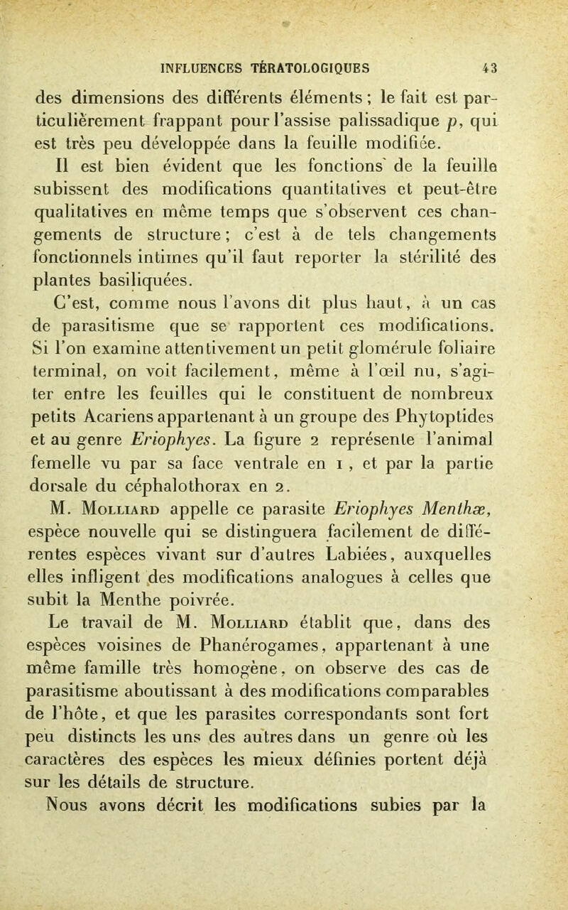 des dimensions des différents éléments ; le fait est par- ticulièrement frappant pour l’assise palissadique p, qui est très peu développée dans la feuille modifiée. Il est bien évident que les fonctions' de la feuille subissent des modifications quantitatives et peut-être qualitatives en même temps que s’observent ces chan- gements de structure; c’est à de tels changements fonctionnels intimes qu’il faut reporter la stérilité des plantes basiliquées. C’est, comme nous l’avons dit plus haut, à un cas de parasitisme que se rapportent ces modifications. Si l’on examine attentivement un petit glomérule foliaire terminal, on voit facilement, même à l’œil nu, s’agi- ter entre les feuilles qui le constituent de nombreux petits Acariens appartenant à un groupe des Phytoptides et au genre Eriophyes. La figure 2 représente l’animal femelle vu par sa face ventrale en 1 , et par la partie dorsale du céphalothorax en 2. M. Molliard appelle ce parasite Eriophyes Menthæ, espèce nouvelle qui se distinguera facilement de diffé- rentes espèces vivant sur d’autres Labiées, auxquelles elles infligent des modifications analogues à celles que subit la Menthe poivrée. Le travail de M. Molliard établit que, dans des espèces voisines de Phanérogames, appartenant à une même famille très homogène, on observe des cas de parasitisme aboutissant à des modifications comparables de l’hôte, et que les parasites correspondants sont fort peu distincts les uns des autres dans un genre où les caractères des espèces les mieux définies portent déjà sur les détails de structure. Nous avons décrit les modifications subies par la