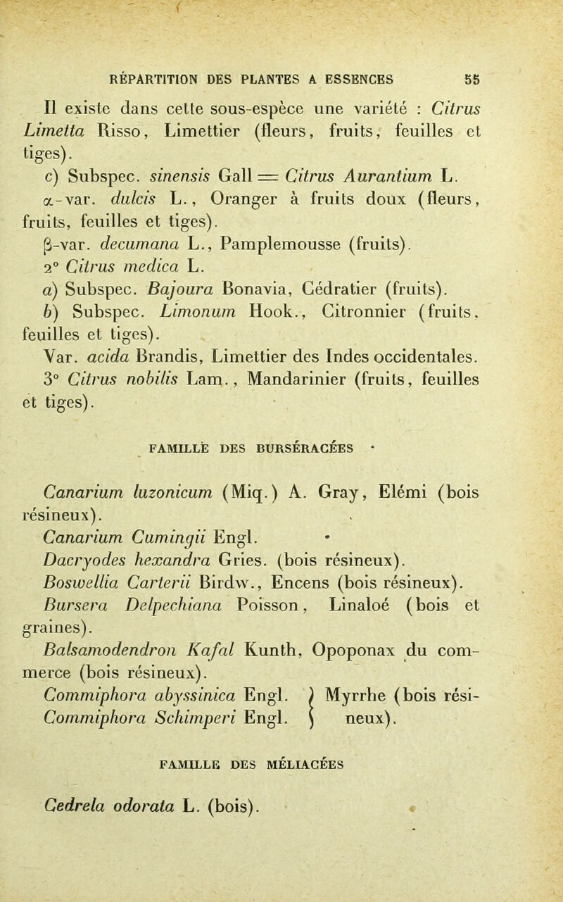 Il existe dans cette sous-espèce une variété : Citrus Lirnetta Risso, Limettier (fleurs, fruits, feuilles et tiges). c) Subspec. sinensis Gall = Citrus Aurantium L. a-var. dalcis L., Oranger à fruits doux (fleurs, fruits, feuilles et tiges). (3-var. decumana L., Pamplemousse (fruits). 2° Citrus medica L. a) Subspec. Bajoura Bonavia, Cédratier (fruits). b) Subspec. Limonum Idook., Citronnier (fruits, feuilles et tiges). Yar. acida Brandis, Limettier des Indes occidentales. 3° Citrus nobilis Lam., Mandarinier (fruits, feuilles et tiges). FAMILLE DES BURSÉRACÉES • Canarium luzonicum (Miq.) A. Gray, Elémi (bois résineux). Canarium Cumingii Engl. Dacryodes hexandra Gries. (bois résineux). Boswellia Carterii Birdw., Encens (bois résineux). Bursera Delpeehiana Poisson, Linaloé (bois et graines). Balsamodendron Kafal Kunth, Opoponax du com- merce (bois résineux). Commiphora abyssinica Engl. ) Myrrhe (bois rési- Commiphora Schimperi Engl. ) neux). FAMILLE DES MELIACÉES Cedrela odorata L. (bois).