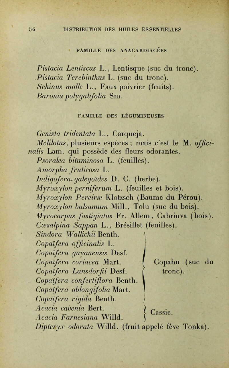 FAMILLE DES ANACARDIACÉES Pislacia Lenliscus L., Lentisque (suc du tronc). Pislacia Terebinthus L. (suc du tronc). Schinus molle L., Faux poivrier (fruits). Baronia polygalifolia Sxn. FAMILLE DES LÉGUMINEUSES Genista tridentala L., Carqueja. Melilotus, plusieurs espèces ; mais c’est le M. ofjici- nalis Lam. qui possède des fleurs odorantes. Psoralea bituminosa L. (feuilles). Amorpha fruticosa L. Jndigofera-galegoïdes D. C. (herbe). Myroxylon perniferum L. (feuilles et bois). Myroxylon Pereiræ Klotzsch (Baume du Pérou). Myroxylon balsamum Mill., Tolu (suc du bois). Myrocarpus fastigialus Fr. Allem, Cabriuva (bois). Cæsalpina Sappan L., Brésillet (feuilles). Sindora Wallichii Benth. Copaïfera officinalis L. Copaïfera guyanensis Desf. Copaïfera coriacea Mart. Copaïfera Lansdorfii Desf. Copaïfera confertiflora Bent Copaïfera oblongifolia Mart. Copaïfera rigida Benth. Acacia cavenia Bert. Acacia Farnesiana Willd. Dipieryx odorata Willd. (fruit appelé fève Tonka). Copahu (suc du tronc). Cassie.