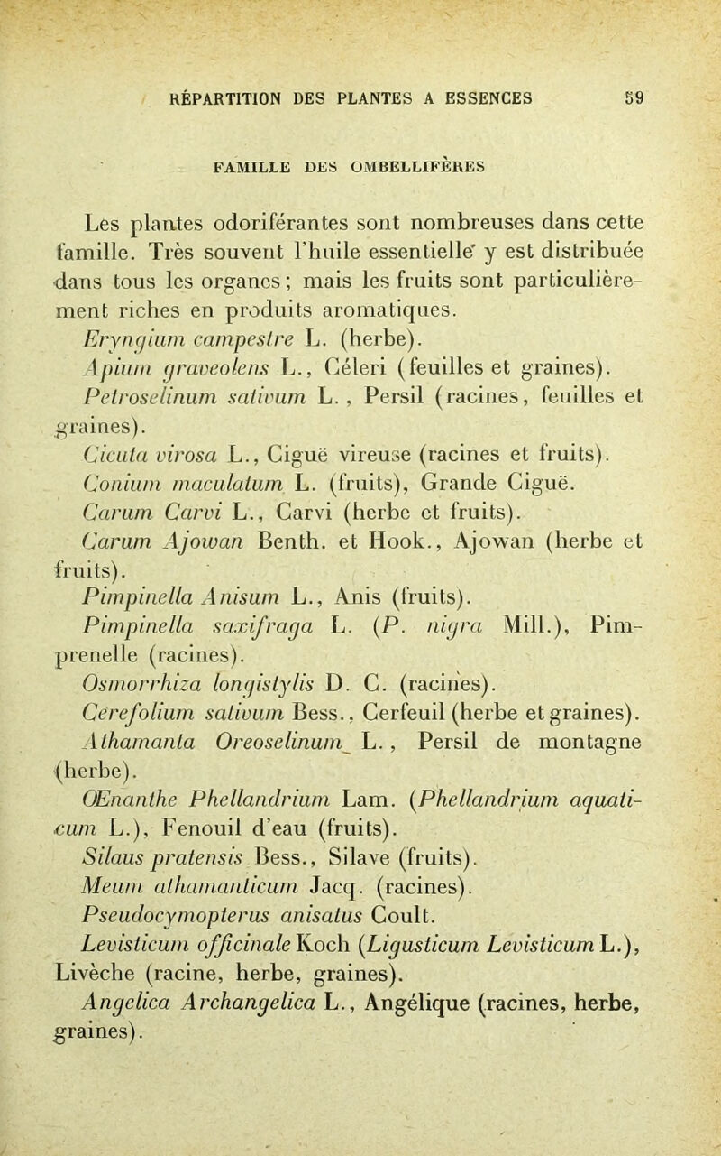 FAMILLE DES OMBELLIFÈRES Les plantes odoriférantes sont nombreuses dans cette famille. Très souvent l’huile essentielle' y est distribuée dans tous les organes ; mais les fruits sont particulière- ment riches en produits aromatiques. Eryngium campestre L. (herbe). Apium graveolens L., Céleri (feuilles et graines). Petroselinum sativum L. , Persil (racines, feuilles et graines). Cicala virosa L., Ciguë vireuse (racines et fruits). Conium macalalum L. (fruits), Grande Ciguë. Carum Carvi L., Carvi (herbe et fruits). Carum Ajowan Benth. et Hook., Ajowan (herbe et fruits). Pimpin&lla Anisum L., Ànis (fruits). Pimpinella saxifraga L. (P. nigra Mill.), Pim- prenelle (racines). Osmorrhiza longistylis D. C. (racines). Cerefolium salivuin Bess., Cerfeuil (herbe et graines). Alhamanta Oreoselinum_ L. , Persil de montagne {herbe). OEncinthe Phellandrium Lam. (Phellandrium aquati- cum L.), Fenouil d’eau (fruits). Silaus pratensis Bess., Silave (fruits). Aleum athamanticum Jacq. (racines). Pseudocymopterus anisalus Coult. Levisticum officinale Koch (Ligusticum Levisticum L.), Livèche (racine, herbe, graines). Angclica Archangelica L., Angélique (racines, herbe, graines).
