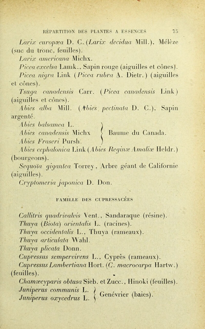 Larix europæa D. C. {Larix decidua Mill.), Mélèze (suc du tronc, feuilles). Larix americana Michx. Picea excelsa Lamk., Sapin rouge (aiguilles et cônes). Picea nigra Link (Picea mira A. Dietr.) (aiguilles et cônes). Tsuga canadensis Carr. (Picea canadensis Link) (aiguilles et cônes). A bien alba Mill. {Abies. pectinata D. C.). Sapin argenté. Abies cephalonica Link (Abies Reginæ Amalîæ Helclr.) (bourgeons). Séquoia gigantea Torrey. Arbre géant de Californie (aiguilles). Cryptomeria japonica D. Don. Callitris quadrivalvis Vent., Sandaraque (résine). Thuya (Biota) orientalis L. (racines). Thuya occidentalis L., Thuya (rameaux). 'Thuya articulata Wahl. Thuya plicata Donn. Cupressus sempervirens L., Cyprès (rameaux). Cupressus Lambertiana Hort. (C. macrocarpa Hartw.) (feuilles). Chamæcyparis obtusa Sieb. et Zucc., Iïinoki (feuilles). Junipevus commuais L. ) _ , . , . , t i ti Genevner (baies). Baume du Canada. FAMILLE DES CUPRESSACÉES Juniperus oxycedrus L.