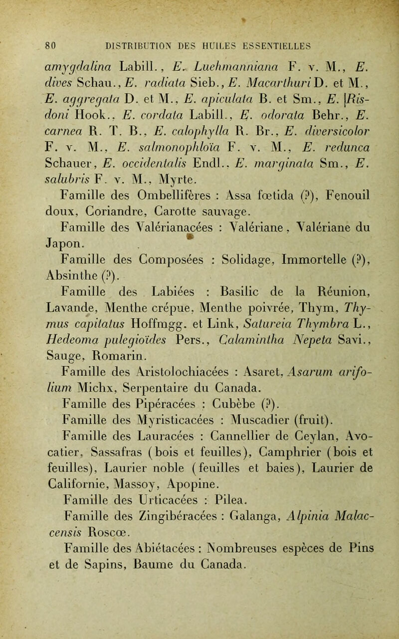 amygdalina Labill., E. Luehmanniana F. v. M., E. clives Schau.jÊ'. radiata Sieh.,E. MacarthuriD. et M., E. agqregaia D. et M., E. apiculata B. et Sm.. E. \Ris- doni Hook., E. corclata Labill., E■ odorata Behr., E. carnea R. T. B., E. calophylla R. Br., E. cliversicolor F. v. M., E. salmonophloia F. v. M., E. redunca Schauer, E. occidentalis Endl.. E. marginata Sm., E. salubris F. v. M., Myrte. Famille des Ombellifères : Assa fœtida (?), Fenouil doux, Coriandre, Carotte sauvage. Famille des Valérianacées : Valériane, Valériane du Japon. Famille des Composées : Solidage, Immortelle (?), Absinthe (?). Famille des Labiées : Basilic de la Réunion, Lavande, Menthe crépue, Menthe poivrée, Thym, Thy- mus capitalus Hoffmgg. et Link, Satureia Thymbra L., Hedeoma pulegioïdes Pers., Calamintha Nepeta Savi., Sauge, Romarin. Famille des Aristolochiacées : Asaret, As arum arifo- lium Michx, Serpentaire du Canada. Famille des Pipéracées : Cubèbe (P). Famille des Myristicacées : Muscadier (fruit). Famille des Lauracées : Cannellier de Ceylan, Avo- catier. Sassafras (bois et feuilles), Camphrier (bois et feuilles), Laurier noble (feuilles et baies), Laurier de Californie, Massoy, Apopine. Famille des Urticacées : Pilea. Famille des Zingibéracées : Galanga, Alpinia Malac- censis Roscœ. Famille des Abiétacées : Nombreuses espèces de Pins et de Sapins, Baume du Canada.