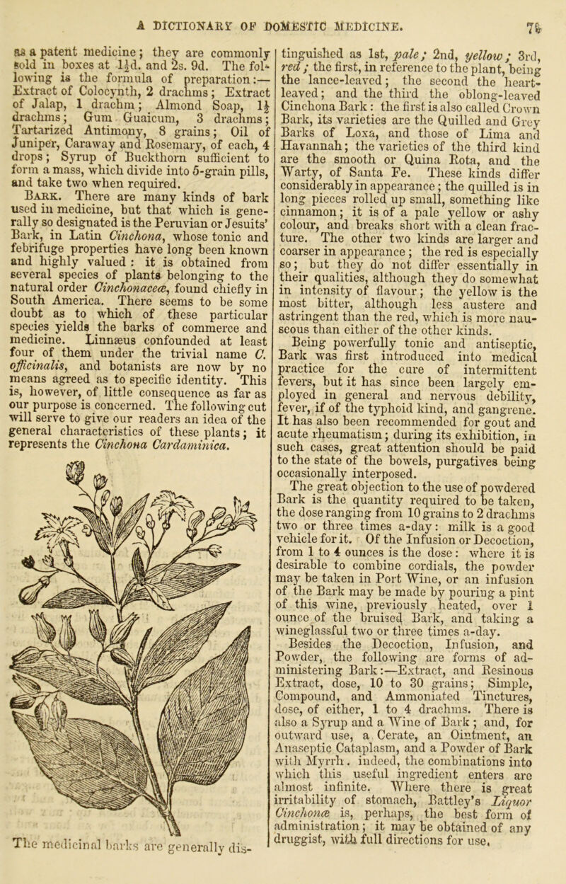 as ft patent medicine \ they are commonly sold in boxes at l^d. and 2s. 9d. The fol- lo\nug is the formula of preparation:— Extract of Colocynth, 2 drachms ; Extract of Jalap, 1 drachm; Almond Soap, 1| drachms; Gum Guaicum, 3 drachms; Tartarized Antimony, 8 grains; Oil of Juniper, Caraway and Kosemary, of each, 4 drops; Syrup of Buckthorn sufficient to form a mass, which divide into 5-grain pills, and take two when required. Bark. There are many kinds of hark used ill medicine, but that which is gene- rally so designated IS the Peruvian or Jesuits’ Bark, in Latin Cinchona, whose tonic and febrifuge properties have long been kno^vn and highly valued : it is obtained from several species of plants belonging to the natural order Cinchonacecc, found chiefly in South America. There seems to be some doubt as to which of these particular species yields the barks of commerce and medicine. Linnaeus confounded at least four of them under the trivial name G. officinalis, and botanists are now by no means agreed as to specific identity. This is, however, of little consequence as far as our purpose is concerned. The following cut will serve to give our readers an idea of the general characteristics of these plants; it represents the Cinchona Cardaminica. tinguished as ls>t,2^ale; 2nd, yellow; 3rd, red ; the first, in reference to the plant, being the lance-leaved; the second the heart- leaved; and the third the oblong-leaved Cinchona Bark: the first is also called Crown Bark, its varieties are the Quilled and Grey Barks of Loxa, and those of Lima and Havannah; the varieties of the third kind are the smooth or Quina Rota, and the Warty, of Santa Fe. These kinds differ considerably in appearance; the quilled is in long pieces rolled up small, something like cinnamon; it is of a pale yellow or ashy colour, and breaks short with a clean R-ac- ture. The other two kinds are larger and coarser in appearance ; the red is especially so; but they do not differ essentially in their qualities, although they do somewhat in intensity of flavour; the yellow is the most bitter, although less austere and astringent than the red, vffiich is more nau- seous than either of the other kinds. Being powerfully tonic and antiseptic, Bark was first introduced into medical practice for the cure of intermittent fevers, but it has since been largely em- ployed in general and nervous debilitv, fever, if of the typhoid kind, and gangrene. It has also been recommended for gout and acute rheumatism; during its exhibition, in such cases, great attention should be paid to the state of the bowels, purgatives being occasionally interposed. The great objection to the use of powdered Bark is the quantity required to be taken, the dose ranging from 10 grains to 2 drachms two or three times a-day: milk is a good vehicle for it. Of the Infusion or Decoction, from 1 to 4 ounces is the dose : wfficre it is desirable to combine cordials, the powder may be taken in Port Wine, or an infusion of the Bark may be made by pouring a pint of this wune, previously heated, over 1 ounce of the bruised Bark, and taking a wineglassful two or three times a-day. Besides the Decoction, Infusion, and Powder, the following are forms of ad- ministering Bark:—Extract, and Resinous Extract, dose, 10 to 30 grains; Simple, Compound, and Ammoniated Tinctures, dose, of either, 1 to 4 drachms. There is also a Syrup and a Wine of Bark ; and, for outward use, a Cerate, an Ointment, an Anaseptic Cataplasm, and a Powder of Bark witli Myrrh. indeed, the combinations into which this useful ingredient enters are almost infinite. AVhere there is great irritability of stomach, Battley’s Liquor Cinchonw is, perhaps, the best form ot administration; it may be obtained of any druggist, wi/Ji full directions for use,