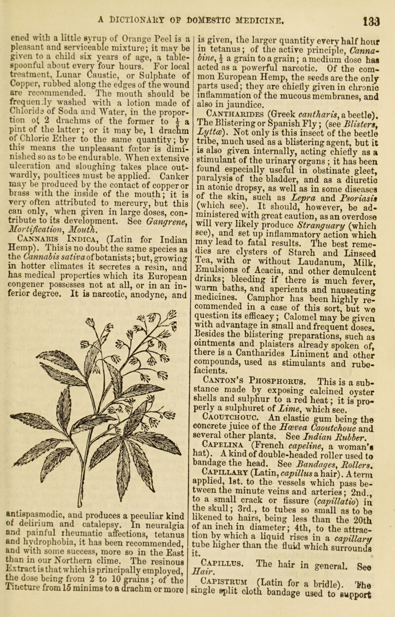 encd with a little syrup of Orange Peel is a pleasant and serviceable mixture; it may be given to a child six years of age, a table- spoonful about eyery four hours. For local treatment, Lunar Caustic, or Sulphate of Copper, rubbed along the edges of the wound are recommended. The mouth should be frequency washed with a lotion made of Chloride of Soda and Water, in the propor- tion of 2 drachms of the former to | a pint of the latter; or it may be, 1 drachm of Chloric Ether to the same quantity; by this means the unpleasant footor is dimi- nished so as to be endurable. When extensive ulceration and sloughing takes place out- wardly, poultices must be applied. Canker may be produced by the contact of copper or brass with the inside of the mouth; it is very often attributed to mercury, but this can only, ^ when given in large doses, con- tribute to its development. See Gangrene^ Mortification., Mouth. Cannabis^ Indica, (Latin for Indian Hemp). This is no doubt the same species as the Cannabis^ sativa of botanists; but, growing in hotter climates it secretes a resin, and has medical properties which its European eorigener possesses not at all, or in an in- ferior degree. It is narcotic, anodyne, and antispasmodic, and produces a peculiar kind of delirium and catalepsy. In neuralgia and painful rheumatic auctions, tetanus and hydrophobia, it has been recommended, and with some success, more so in the East than in our Northern clime. The resinous Extract is that which is principally employed, ^e dose being from 2 to 10 grains; of the Tincture from 15 minims to a drachm or more is given, the larger quantity every half hour in tetanus; of the active principle, Canna- bine., | a grain to a grain; a medium dose has acted as a powerful narcotic. Of the com- mon European Hemp, the seeds are the only- parts used; they are chiefly given in chronic infiamrnation of the mucous membranes, and also in jaundice. ^ Cantharides (Greek a beetle). The Blistering or Spanish Ely; (see BlisterSj Lytta). Not only is this insect of the beetle tribe, much used as a blistering agent, but it is also given internally, acting chiefly as a stimulant of the urinary organs ; it has been found especially useful in obstinate gleet, paralysis of the bladder, and as a diuretic in atonic dropsy, as well as in some diseases of the skin, such as Lepra and Psoriasis (\yhich see).^ It should, however, be ad- ministered with great caution, as an overdose will very likely produce Stranguary (which see), and set up inflammatory action which may lead to fatal results. The best reme- dies are clysters of Starch and Linseed Tea, with or without Laudanum, Milk, Emulsions of Acacia, and other demulcent drinks; bleeding if there is much fever, warm baths, and aperients and nauseating medicines. Camphor has been highly re- commended in a case of this sort, but we question its efficacy; Calomel may be given with advantage in small and frequent doses. Besides the blistering preparations, such as ointments and plaisters already spoken of, there is a Cantharides Liniment and other compounds, used as stimulants and rube- facients. Canton’s Phosphorus. This is a sub- st^ance made by exposing calcined oyster shells and sulphur to a red heat; it is pro- perly a sulphuret of Lime., Avhich see. Caoutchouc. An elastic gum being the concrete juice of the LLoevea Caoutchouc and several other plants. See Lndian Rubber. Capelina (French capeline, a woman’s hat). A kind of double-headed roller used to bandage the head.^ See Bandages^ Rollers, Capillary (Latin, capillus a hair). A term applied, Ist.^to the vessels which pass be- tween the minute veins and arteries; 2nd., to a small crack or fissure (capillatio) iu the skull; 3rd., to tubes so small as to bo likened to hairs, being less than the 20th of an inch in diameter; 4th, to the attrac- tion by which a liquid rises in a capillary tube higher than the fluid which surrounds it* Hair xut? nair in general. See . Eapistruji (Latin for a bridle). The single split cloth bandage used to support