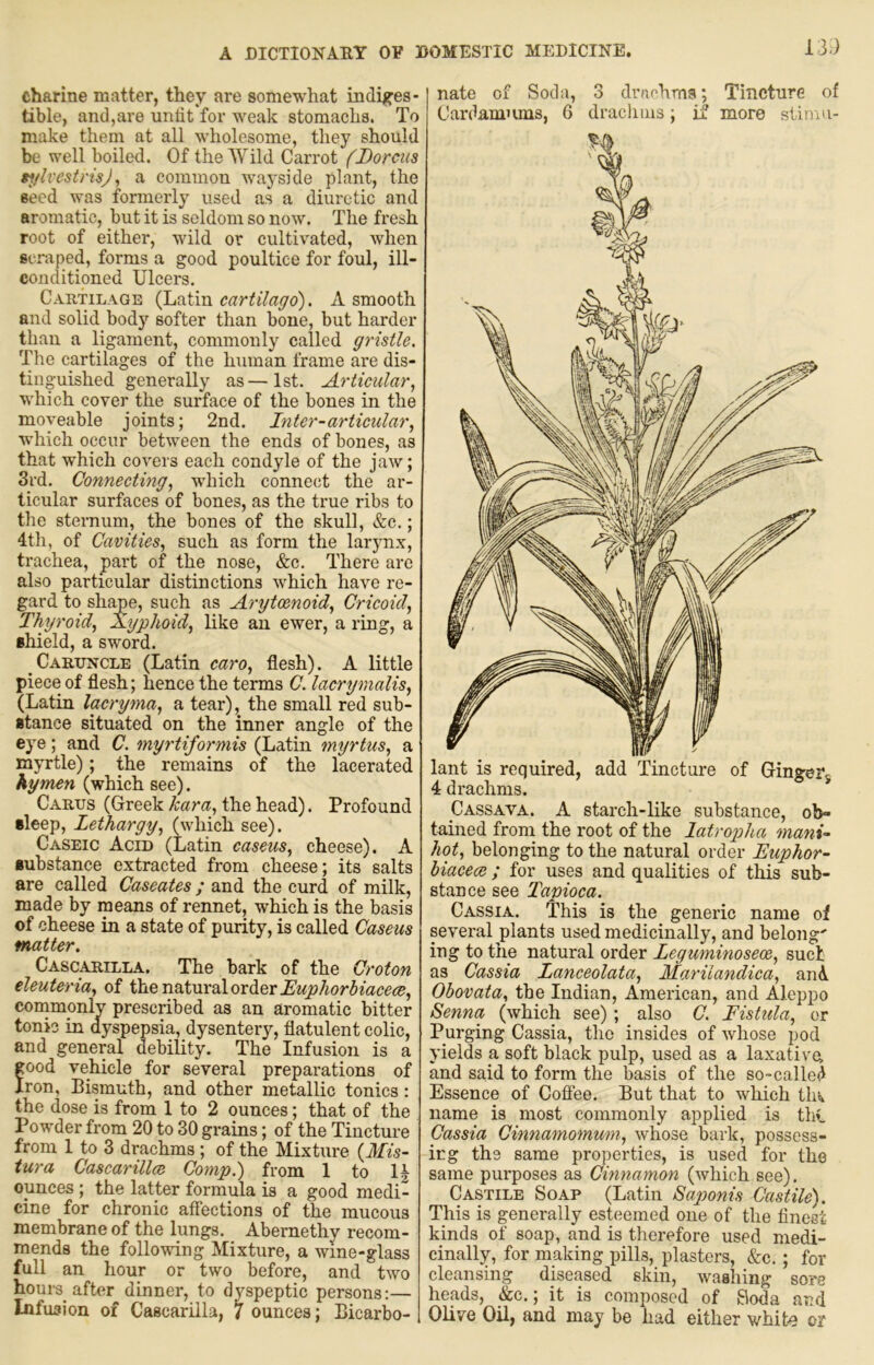 13;) charine matter, they are somewhat indijfes- tibie, and,are untit for weak stomachs. To make them at all wholesome, they should be well boiled. Of the Wild Carrot (Dorcus »i/lvestnsj, a common wayside plant, the seed was formerly used as a diuretic and aromatic, but it is seldom so now. The fresh root of either, wild or cultivated, when scraped, forms a good poultice for foul, ill- conditioned Ulcers. Cartilage (Latin eartilago). A smooth and solid body softer than bone, but harder than a ligament, commonly called gristle. The cartilages of the human frame are dis- tinguished generally as—1st. Articular^ which cover the surface of the bones in the moveable joints; 2nd. Inter-articular^ which occur between the ends of bones, as that which covers each condyle of the jaw; 3rd. Conneeting, which connect the ar- ticular surfaces of bones, as the true ribs to the sternum, the bones of the skull, &c.; 4th, of Cavities, such as form the larynx, trachea, part of the nose, &c. There are also particular distinctions which have re- gard to shape, such as Aryteenoid, Cricoid, Thyroid, Xyphoid, like an ewer, a ring, a shield, a sword. Caruncle (Latin caro, flesh). A little piece of flesh; hence the terms C. lacrymalis, (Latin lacryma, a tear), the small red sub- stance situated on the inner angle of the eye; and C. myrtiformis (Latin myrtus, a myrtle); the remains of the lacerated hymen (which see). Carus (Greek kara, the head). Profound sleep. Lethargy, (which see). Caseic Acid (Latin caseus, cheese). A substance extracted from cheese; its salts are called Caseates; and the curd of milk, made by means of rennet, which is the basis of cheese in a state of purity, is called Caseus matter. Casc^illa. The bark of the Croton eleuteria, of thenaturalorderluphorSiaeece, commpnly prescribed as an aromatic bitter tonic in dyspepsia, dysentery, flatulent colic, and general debility. The Infusion is a ood vehicle for several preparations of ron, Bismuth, and other metallic tonics: the dose is from 1 to 2 ounces; that of the Powder from 20 to 30 grains; of the Tincture from 1 to 3 drachms; of the Mixture (Mis- tura Cascarillce Comp.) from 1 to U ounces ; the latter formula is a good medi- cine for chronic affections of the mucous membrane of the lungs. Abernethv recom- mends the following Mixture, a wine-glass full an hour or two before, and two hours after dinner, to dyspeptic persons:— Infusion of Cascariila, 7 ounces; Bicarbo- nate of Soda, 3 drachms; Tincture of Cardamiuns, 6 dracliuis; if more stirnu- Cassava. a starch-like substance, ob- tained from the root of the latropha mani- hot, belonging to the natural order Euphor- biacecB ; for uses and qualities of this sub- stance see Tapioca. Cassia. This is the generic name of several plants used medicinally, and belong' ing to the natural order Leguminoseoe, such as Cassia Lanceolata, Marilandica, and Ohovata, the Indian, American, and Aleppo Senna (which see); also C. Fistula, or Purging Cassia, the insides of whose pod yields a soft black pulp, used as a laxative, and said to form the basis of the so-called Essence of Coffee. But that to which tlii^ name is most commonly applied is thi Cassia Cinnamomum, whose bark, possess- irg the same properties, is used for the same purposes as Cinnamon (which see). Castile Soap (Latin Saponis Castile). This is generally esteemed one of the finest kinds of soap, and is therefore used medi- cinally, for making pills, plasters, &c. ; for cleansing diseased skin, washing sore heads, &c.; it is composed of Soda and Olive Oil, and may be had either whit'C or