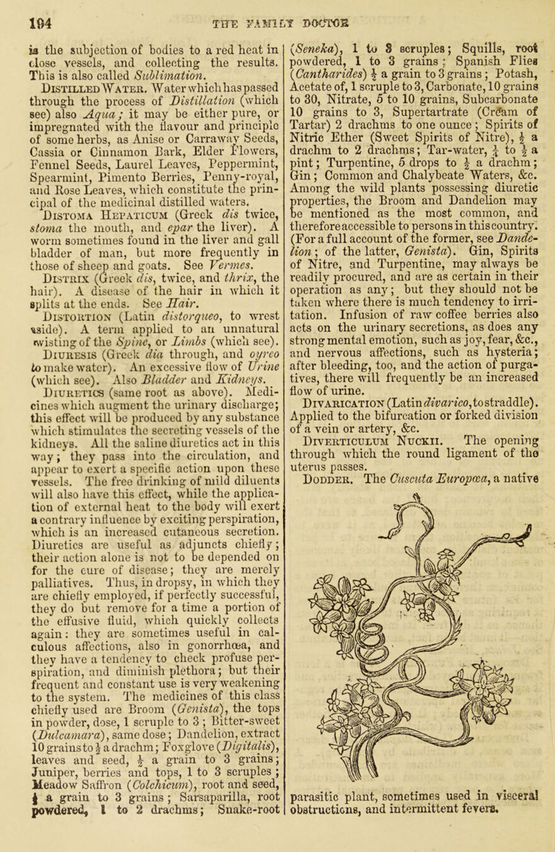 ia the subjection of bodies to a red heat in close vessels, and collecting the results. This is also called Sublimation. Distilled Water. Water which has passed through the process of Distillation (which see) also Aqua; it may be either pure, or impregnated with the fiavour and principle of some herbs, as Anise or Carraway Seeds, Cassia or Ciunamon Bark, Elder Flowers, Fennel Seeds, Laurel Leaves, Peppermint, Spearmint, Pimento Berries, _ Penny-royal, and Rose Leaves, which constitute the prin- cipal of the medicinal distilled waters. Distoma Hetaticum (Greek dis twice, stoma the mouth, and epar ih.Q liver). A worm sometimes found in the liver and gall bladder of man, but more frequently in those of sheejp and goats. See Vermes. Dlstrix (Greek dis^ twice, and thrix, the hair). A disease of the hair in which it splits at the ends. See Hair. Distortion (Latin distorqueo, to wrest ^side). A term applied to an unnatural «wistingof the Spine, or Limbs (which see). Diuresis (Greek dia through, and oi/rco to make water). An excessive How of Urine (which see). Also Bladder and liidncys. _ Diuretics (same root as above). Medi- cines which augment the urinary discharge; this eftect will be produced by any substance which stimulates the secreting vessels of the kidneys. All the saline diuretics act in this way; they pass into the circulation, and appear to exert a specific action upon these vessels. The free drinking of mild diluents will also have this effect, while the applica- tiou of external heat to the body will exert a contrary influence by exciting perspiration, which is an increased cutaneous secretion. Diuretics are useful as adjuncts chiefly; their action alone is not to be depended on for the cure of disease; they are merely palliatives. Thus, in dropsy, in which they are chiefly employed, if perfectly successful, they do but remove for a time a portion of the effusive fluid, which quickly collects again; they are sometimes useful in cal- culous affections, also in gonorrhoea, and they have a tendency to check profuse per- spiration, and diminish plethora; but their frequent and constant use is very weakening to tne system. The medicines of this class chiefly used are Broom (^Genista), the tops in powder, dose, 1 scruple to 3 ; Bitter-sweet (^Dtdcamara), B,^xnc dose; Dandelion, extract 10 grains to ^ a drachm; Foxglove {Digitalis), leaves and seed, \ a grain to 3 grains; Juniper, berries and tops, 1 to 3 scruples ; Meadow Saffron {Colchicum), root and seed, I a grain to 3 grains ; Sarsaparilla, root powdered, I to 2 drachms; Snake-root {Seneka), 1 to 8 scruples; Squills, root powdered, 1 to 3 grains ; Spanish Flies {Cantharides) ^ a grain to 3 grains ; Potash, Acetate of, 1 scruple to 3, Carbonate, 10 grains to 30, Nitrate, 5 to 10 gi-ains, Subcarbonate 10 grains to 3, Supertartrate (Crdam of Tartar) 2 drachms to one ounce ; Spirits of Nitric Ether (Sweet Spirits of Nitre), | a drachm to 2 drachms; Tar-water, ^ to | ^ pint; Turpentine, 5 drops to | a drachm; Gin; Common and Chalybeate Waters, &c. Among the wild plants possessing diuretic properties, the Broom and Dandelion may be mentioned as the most common, ana therefore accessible to persons in this country. (For a full account of the former, see Dande- lion', of the latter, Genista). Gin, Spirits of Nitre, and Turpentine, may always be readily procured, and are as certain in their operation as any; but they should not be taken where there is much tendency to irri- tation. Infusion of raw coffee berries also acts on the urinary secretions, as does any strong mental emotion, such as joy, fear, «&:c., and nervous affections, such as hysteria; after bleeding, too, and the action of purga- tives, there will frequently be an increased flow of urine. DIVARICATION (Latin divarico, to straddle). Applied to the bifurcation or forked division of a vein or artery, &c. Diverticulum Nuckii. The opening through which the round ligament of tho uterus passes. Dodder. The Cuscuta Europcea, a native parasitic plant, sometimes used in viscera! obstructions, and intermittent fevers.