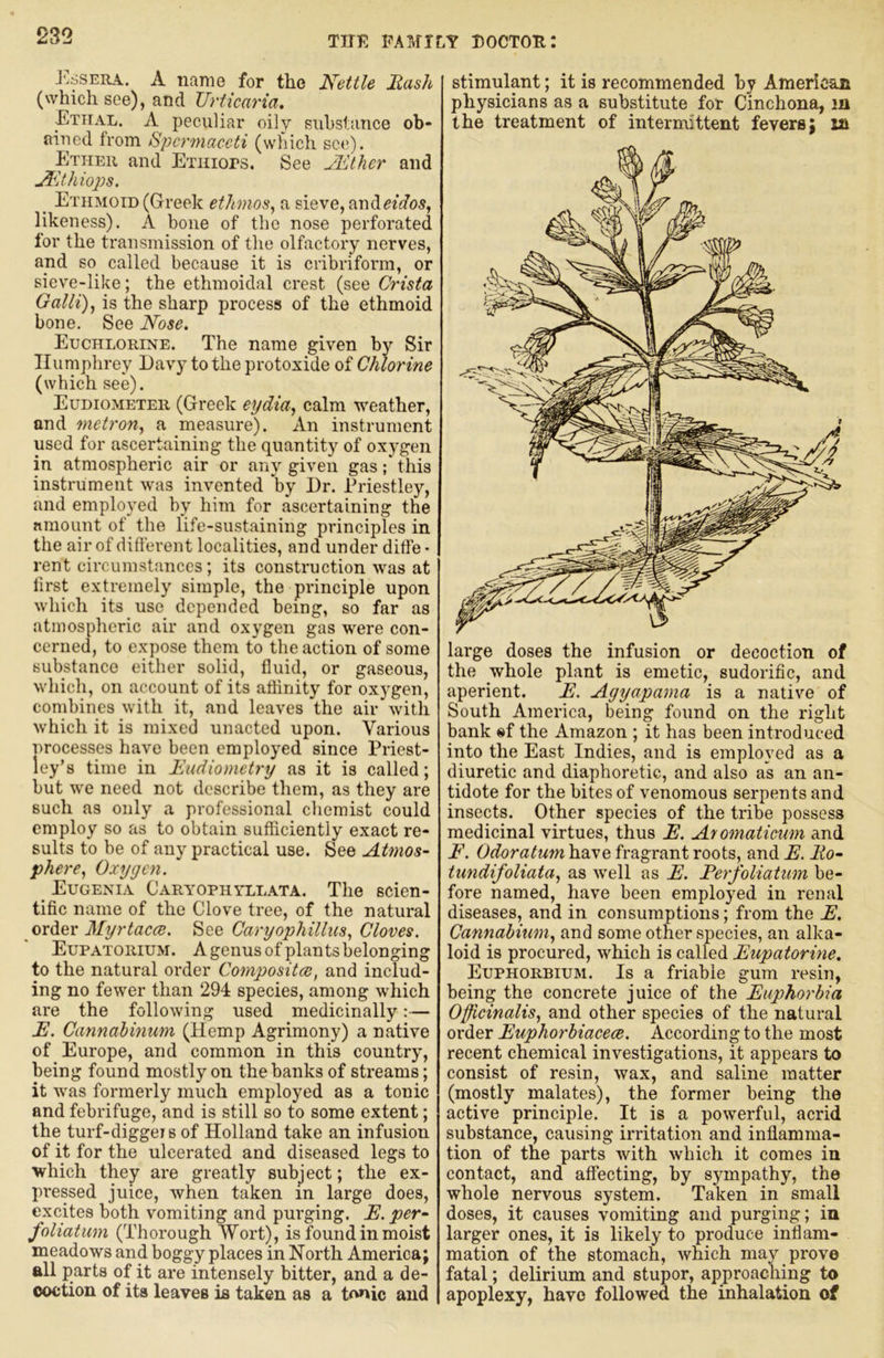 JjSSera. a name for the Kettle Hash (which see), and Urticaria. Etiial. a peculiar oily substance ob- ained from Spermaceti (which see). Ether and Exuiors. See JE'tlier and .^Ithiops. _ Ethmoid (Greek ethmos^ a sieve, andee'ifo^, likeness). A bone of the nose perforated for the transmission of the olfactory nerves, and so called because it is cribriform, or sieve-like; the ethmoidal crest (see Crista Galli)y is the sharp process of the ethmoid bone. See Nose. Euchlorine. The name given by Sir Humphrey Davy to the protoxide of Chlorine (which see). Eudiometer (Greek eydia^ calm weather, and metron, a measure). An instrument used for ascertaining the quantity of oxygen in atmospheric air or any given gasthis instrument was invented by Dr. Priestley, and employed by him for ascertaining the amount of the li.^e-sustaining principles in the air of different localities, and under diffe ■ rent circumstances; its construction was at first extremely simple, the principle upon which its use depended being, so far as atmospheric air and oxygen gas were con- cerned, to expose them to the action of some substance either solid, fluid, or gaseous, which, on account of its aflinity for ox}^gen, combines with it, and leaves the air with which it is mixed unacted upon. Various nrocesses have been employed since Priest- ley’s time in Eadiometry as it is called; but we need not describe them, as they are such as only a professional chemist could employ so as to obtain sufficiently exact re- sults to be of any practical use. See Atmos- phere, Oxygen. _ Eugenia CARYOPHrLLATA. The scien- tific name of the Clove tree, of the natural order Myrtacce. See Caryophillns, Cloves. Eupatorium. A genus of plants belonging to the natural order Composites, and includ- ing no fewer than 294 species, among which are the following used medicinally:— E. Cannahinum (Hemp Agrimony) a native of Europe, and common in this country, being found mostly on the banks of streams; it Avas formerly much employed as a tonic and febrifuge, and is still so to some extent; the turf-diggeis of Holland take an infusion of it for the ulcerated and diseased legs to which they are greatly subject; the ex- pi-essed juice, when taken in large does, excites both vomiting and purging. E. per- foliatum (Thorough Wort), is found in moist meadows and boggy places in North America; ell parts of it are intensely bitter, and a de- coction of its leaves is taken as a tonic and stimulant; it is recommended by American physicians as a substitute fot Cinchona, m the treatment of intermittent fevers; m large doses the infusion or decoction of the whole plant is emetic, sudorific, and aperient. E. Agyapama is a native of South America, being found on the right bank «f the Amazon ; it has been introduced into the East Indies, and is employed as a diuretic and diaphoretic, and also as an an- tidote for the bites of venomous serpents and insects. Other species of the tribe possess medicinal virtues, thus E. Afomaticum and E. Odoratum have fragrant roots, and E. Ro- tundifoliata, as well as E. Eerfoliatum be- fore named, have been employed in renal diseases, and in consumptions; from the E. Cannabium, and some other species, an alka- loid is procured, which is called Eupatorme. Euphorbium. Is a friable gum resin, being the concrete juice of the Euphorbia Officinalis, and other species of the natural order Euphorbiacece. According to the most recent chemical investigations, it appears to consist of resin, wax, and saline matter (mostly malates), the former being the active principle. It is a powerful, acrid substance, causing irritation and inflamma- tion of the parts Avith Avhich it comes in contact, and affecting, by sympathy, the whole nervous system. Taken in small doses, it causes vomiting and purging; in larger ones, it is likely to produce inflam- mation of the stomach, Avhich may prove fatal; delirium and stupor, approaching to apoplexy, have followed the inhalation of