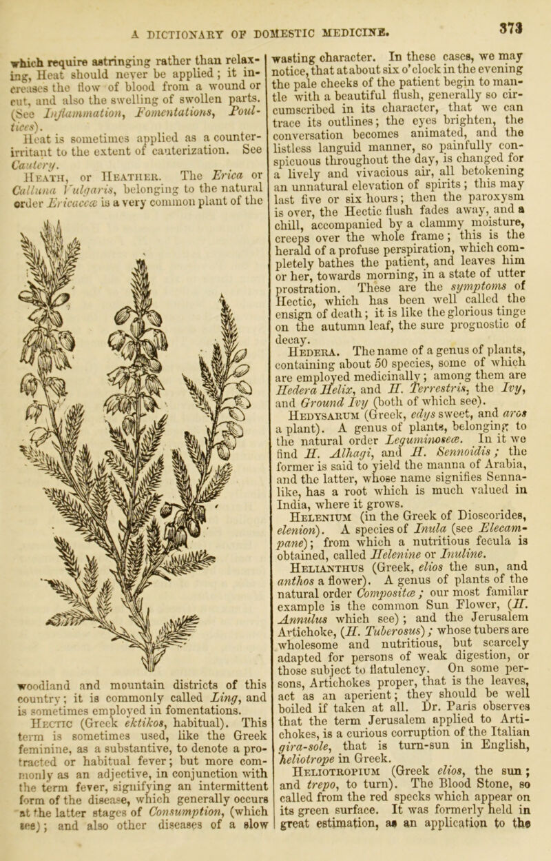 which require aatringing rather than relax- ing, Heat should never be applied; it in- ereuscs the tiow of blood from a wound or cut, and also the swelling of swollen parts. (See J/iJiaminatioHj Fomeyitations^ Foul- tices). Heat is sometimes applied as a counter- irritant to the extent of cauterization. See Cautery. Heath, or Heather. The Erica or Calluna Vulyaris, belonging to the natural order Ericacecc is a very common plant of the woodland and mountain districts of this countryit is commonly called Ling, and is sometimes employed in fomentations. Hectic (Greek ektikos, habitual). This tenn is sometimes used, like the Greek feminine, as a substantive, to denote a pro- tracted or habitual fever; but more com- monly as an adjective, in conjunction with the term fever, signifying an intermittent form of the disease, which generally occurs at the latter stages of Consumption, (which •ee); and also other diseases of a slow wasting character. In these cases, we may notice, that at about six o’clock in the evening the pale cheeks of the patient begin to man- tle with a beautiful flush, generally so cir- cumscribed in its character, that we can trace its outlines; the eyes brighten, the conversation becomes animated, and the listless languid manner, so painfully con- spicuous throughout the day, is changed for a lively and vivacious air, all betokening an unnatural elevation of spirits ; this may last five or six hours; then the paroxysm is over, the Hectic flush fades away, and a chill, accompanied by a clammy moisture, creeps over the whole frame; this is the herald of a profuse perspiration, which com- pletely bathes the patient, and leaves him or her, towards morning, in a state of utter prostration. These are the symptoms of Hectic, which has been well called the ensign of death; it is like the glorious tinge on the autumn leaf, the sure proguostic of decay. Hedera. The name of a genus of plants, containing about 50 species, some of which are employed medicinally; among them are Hedera Ilelix, and II. Terrestris, the Ivy, and Ground Ivy (both of which see). Hedysarijm (Greek, edys sweet, and aros a plant). A genus of plants, belonging to the natural order Legumimsece. In it avo find H. Adliagi, and H. Eennoidis; the former is said to yield the manna of Arabia, and the latter, whose name signifies Senna- like, has a root which is much valued in India, where it grows. Helenium (in the Greek of Dioscorides, elenion). A species of Inula (see Elecamp pane)] from which a nutritious fecula is obtained, called llelenine or Inuline. Helianthus (Greek, elios the sun, and anthos a flower). A genus of plants of the natural order Composites ; our most familar example is the common Sun Flower, {II. A.nnidus which see); and the Jerusalem Artichoke, (AT. Tuherosus); whose tubers are wholesome and nutritious, but scarcely adapted for persons of weak digestion, or those subject to flatulency. ()n some per- sons, Artichokes proper, that is the leaves, act as an aperient; they should be well boiled if taken at all. Dr. Paris observes that the term Jerusalem applied to Arti- chokes, is a curious corruption of the Italian gira-sole, that is tum-sun in English, heliotrope in Greek. Heliotropium (Greek elios, the sun; and trepo, to turn). The Blood Stone, so called from the red specks which appear on its green surface. It was formerly held in great estimation, at an application to the