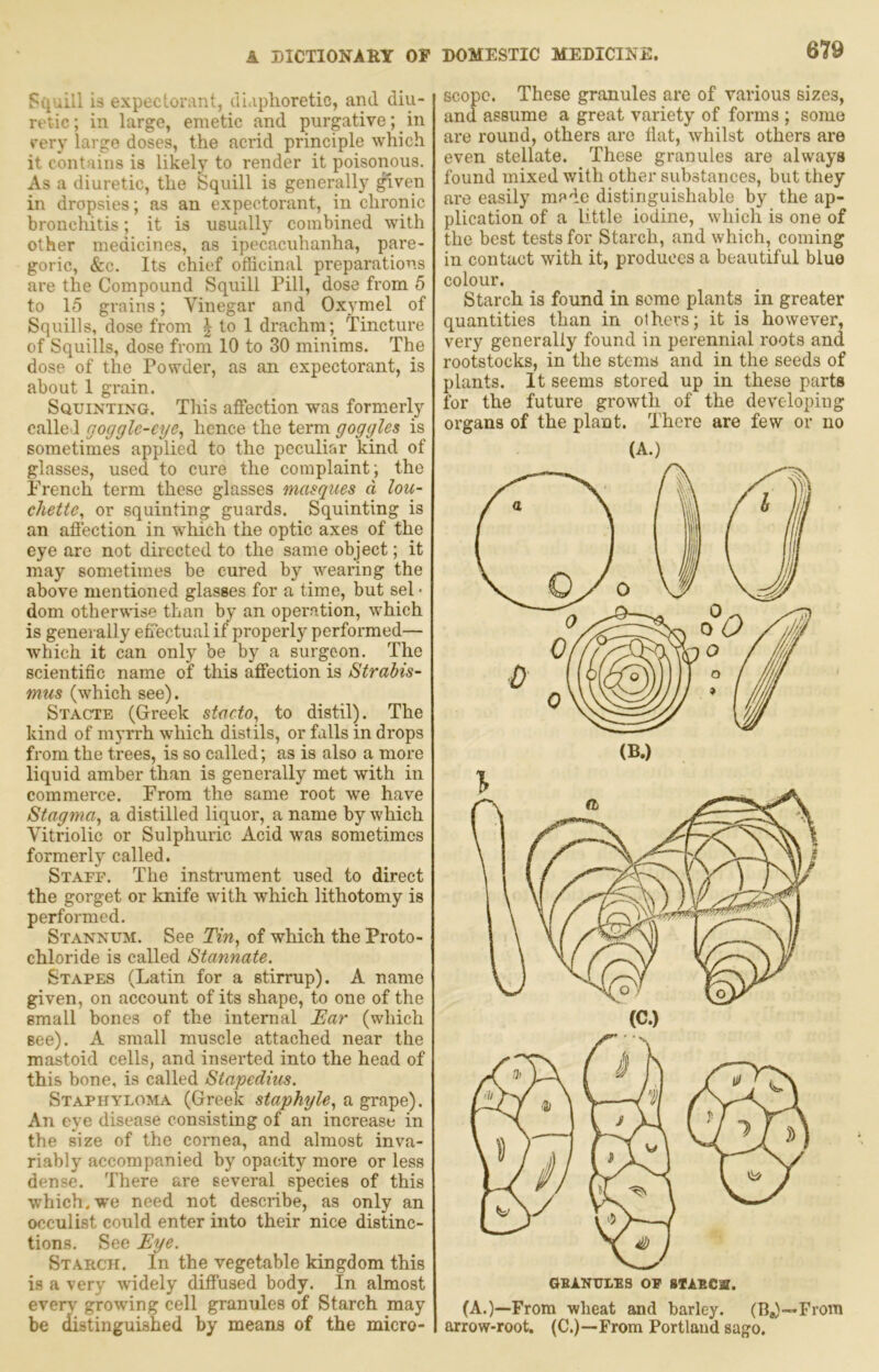 Sijiiill is expectorant, diaphoretic, and diu- retic ; in large, emetic and purgative; _ in eery large doses, the acrid principle which it contains is likely to render it poisonous. As a diuretic, the Squill is generally given in dropsies; as an expectorant, in chronic bronchitis; it is usually combined with other medicines, as ipecacuhanha, pare- goric, See. Its chief officinal preparations are the Compound Squill Pill, dose from 5 to 15 grains; Vinegar and Oxymel of Squills, dose from | t® 1 drachm; Tincture of Squills, dose from 10 to 30 minims. The dose of the Powder, as an expectorant, is about 1 grain. Squinting. This affection was formerly called goggle-eye., hence the term goggles is sometimes applied to the peculiar kind of glasses, used to cure the complaint; the French term these glasses masques d lou- chette, or squinting guards. Squinting is an affection in which the optic axes of the eye are not directed to the same object; it may sometimes be cured by wearing the above mentioned glasses for a time, but sel • dom othervdse than by an operation, which is generally effectual if properly performed— which it can only be by a surgeon. The scientific name of this affection is Strabis- mus (which see). Stacte (Greek stactOj to distil). The kind of myrrh which distils, or falls in drops from the trees, is so called; as is also a more liquid amber than is generally met with in commerce. From the same root we have Stagma^ a distilled liquor, a name by which Vitriolic or Sulphuric Acid was sometimes formerly called. Staff. The instrument used to direct the gorget or knife with which lithotomy is performed. Stannum. See Tin, of which the Proto- chloride is called Stannate. Stapes (Latin for a stirrup). A name given, on account of its shape, to one of the small bones of the internal Tar (which see). A small muscle attached near the mastoid cells, and inserted into the head of this bone, is called Stapedius. Staphyloma (Greek staphyle, a grape). An eye disease consisting of an increase in the size of the cornea, and almost inva- riably accompanied by opacity more or less dense. There are several species of this which, we need not describe, as only an occulist could enter into their nice distinc- tions. See Eye. Starch. In the vegetable kingdom this is a very widely diffused body. In almost eveiw’ growing cell granules of Starch may be distinguished by means of the micro- scope. These granules are of various sizes, and assume a great variety of forms ; some are round, others are fiat, whilst others are even stellate. These granules are always found mixed with other substances, but they are easily made distinguishable by the ap- plication of a little iodine, which is one of the best tests for Starch, and which, coming in contact with it, produces a beautiful blue colour. Starch is found in some plants in greater quantities than in others; it is however, very generally found in perennial roots and rootstocks, in the stems and in the seeds of plants. It seems stored up in these parts for the future growth of the developing organs of the plant. There are few or no (A.) (A.)—From wheat and barley. (11,)—From arrow-root. (C.)—From Portland sago.