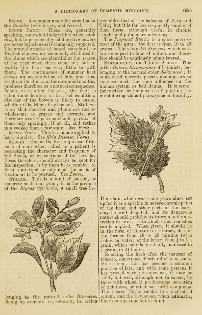 Stone. A common name for calculus in the Bladder (which, see), and Gravel. Stone Fkuit. These are, generally speaking, somewhat indigestible when eaten raw, but to persons of good digestive powers are not so injurious as is commonly supposed. The annual attacks of bowel complaint, or English cholera, are commonly attributed to the plums which are plentiful at the season of the year when these come in; but in reality the fruit has very little to with them. The continuance of summer heat causes an accumulation of bile, and this, reaching its climax in the autumnal months, produces diarrhoea as a natural consequence. When, as is often the case, the fruit is eaten immoderately or in a bad condition, disorder of the bowels is likely to ensue, whether it be Stone Fruit or not. Still, we know that cherries and plums are not so wholesome as grapes and currants, and therefore weakly persons should partake of them only sparingly, if at all, and rather in a cooked than a raw state. See Fruit. Stone Pock. This is a name applied to hard pimples. See Skin Disease., Varus. Stools. One of the lirst inquiries of the medical man when called to a patient is respecting the character and frequency of the Stools, or evacuations of the bowels; these, therefore, should always be kept for his inspection, as by them he is enabled to form a pretty clear notion of the mode of treatment to be pursued. See Foeces. Storax. This is a kind of balsam, or concrete medicinal gum ; it is the produce of the Styrax Officinalis, a small tree be- longing to the natural order Styraeea. being an aromatic expectorant, its action resembles that of the balsams of Peru and Tolu; but it is far less fi’equently employed than those, although useful in chronic coughs and pulmonary affections. The Prepared Storax is a spirituous ex- tract of the gum ; the dose is from 10 to 20 grains. There is a Pil Styracis, which con- tains one part in four of opium, and there- fore should be cautiously administered. Stramonium, or Thorn Apple. This is the Datura Stramonium of botanists, be- longing to the natural order Solanacem ; it is an acrid narcotic poison, and appears to exercise much the same influence on the human system as belladonna. It is some times given for the purpose of quieting the mind during violent paroxysms of insanity. The claim Avhich was some years since set up for it as a specific in severe chronic pains of the head and other parts of the body, may be well disputed, and its dangerous nature should prohibit its internal adminis- tration in any cases to which other remedies can be applied. When given, it should be in the form of Tincture or Extract, dose of the former from 10 to 20 minims twice a-day, in water; of the latter, from ^ to | a grain, which may be gradually increased to 4 grains in 24 hours. Smoking the herb after the manner of tobacco, sometimes affords relief in spasmo- dic asthma; this has become a common practice of late, and with some persons it. has proved very mischievous; it may be safely followed, although not to excess, by those with whom it produces no sensation of giddiness, or other bad head symptoms. The poorer Turks smoko this instead ol opium, and the Ceylonese, when iisthinatic, have done so time out of mind