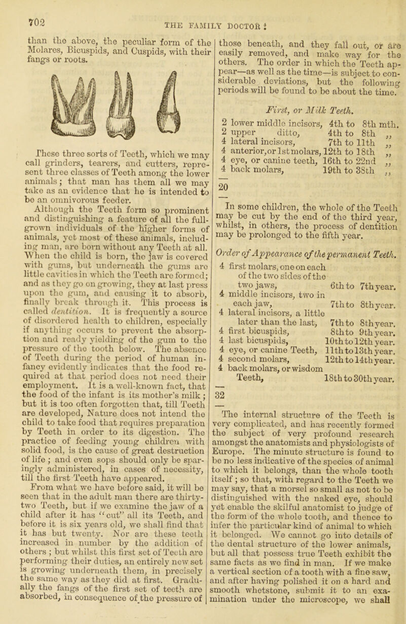 THE FAMILY DOCTOR i than the above, the peculiai:’ form of the Molares, Bicuspids, and Cuspids, with their fangs or roots. These three sorts of Teeth, which we may call grinders, tearers, and cutters, repre- sent three classes of Teeth among the lower animals; that man has them all we may take as an evidence that he is intended to bo an omnivorous feeder. Although the Teeth form so prominent and distinguishing a feature of all the full- grown individuals of the higher forms of animals, yet most of these animals, includ- ing man, are born without any Teeth at all. When the child is born, the jaw is covered w'ith gums, but underneath the gums are little cavities in which the Teeth are formed; and as they go on growing, they at last press tipon the gum, and causing it to absorb, finally break through it. This process is called dentition. It is frequently a source of disordered health to children, especially if anything occurs to prevent the absorp- tion and ready yielding of tho gum to the pressure of tho tooth below. The absence of Teeth during the period of human in- fancy evidently indicates that tho food re- quired at that period does not need their employment. It is a well-known fact, that the food of the infant is its mother’s milk ; but it is too often forgotten that, till Teeth are developed, Nature does not intend the child to take food that requires preparation by Teeth in order to its digestion. The practice of feeding young children Avith solid food, is the cause of great destruction of life ; and even sops should only be spar- ingly administered, in cases of necessity, till the first Teeth have appeared. From what we have before said, it will be seen that in the adult man there are thirty- two Teeth, but if we examine the jaw of a child after it has ^^cut” all its Teeth, and before it is six years old, we shall find that it has but twenty. Nor are these teeth increased in number by the addition of others ; but whilst this first set of Teeth are performing their duties, an entirely new set is growing underneath them, in precisely the same way as they did at first. Gradu- ally the fangs of the first set of teetlx are absorbed, in consequence of the pressure of those beneath, and they fall out, or are easily removed, and make way for the others. The order in which the Teeth ap- pear as well as the time—is subject.to con- siderable deviations, but the following periods will be found to be about the time. First, or Milk Teeth. 2 lower middle incisors, 4th to 8th mth. 2 upper ^ ditto, 4th to 8th ,, 4 lateral incisors, 7th to 11th 4 anterior,or 1st molars, 12th to 18th 4 eye, or canine teeth, 16th to 22nd „ 4 back molars, 19th to 38th ,, 20 >} In some children, the whole of the Teeth may be cut by the end of the third year, whilst, in others, the process of dentition may be prolonged to the fifth year. Order of Appearance of the permanent Teeth. 4 first molars, one on each of the two sides of the two jaws, 6th to 7thyear. 4 middle incisors, two in each jaw, 7th to 8thyear. 4 lateral iiicisors, a little later than the last, 7th to 8th year. 4 first bicuspids, 8thto 9th year. 4 last bicuspids, lOthto 12th year. 4 eye, or canine Teeth, llthto 13th year. 4 second molars, 12th to Mth year. 4 back molars, or wisdom Teeth, 18th to 30th year. 32 The internal structure of the Teeth is very complicated, and has recently formed the subject of very profound research amongst the anatomists and physiologists of Europe. The minute structure is found to be no less indicative of the species of animal to which it belongs, than the whole tooth itself; so that, with regard to the Teeth we may say, that a morsel so small as not to bo distinguished with the naked eye, should yet enable the skilful anatomist to judg'e of the form of tho Avhole tooth, and thence to infer tho particxdar kind of animal to which it belonged. We cannot go into details of the dental structure of the lower animals, but all that possess true Teeth exhibit the same facts as we find in man. If we make a vertical section of a tooth with a fine saw, and after having polished it on a hard and smooth whetstone, submit it to an exa- mination under the microscope, we shall