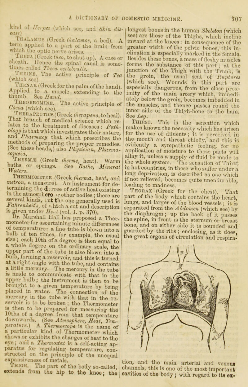 kiml oi llerpts (w'aijh soo, and Skui dis- ease) lUALA^rus (Grook ihalamos, a bod). A term applied to a part of the brain fr.)m which tlie optic nerve arises, Iheca (Greek theo, to shut up). A case or sheath. Hence the .spinal canal is sonie- tirnes called Theca, vertehralis. 1 HEINE. The active principle of Tea (which see). 1 HhNAU (Greek for the palm of the hand). Applied to a muscle extendinn- to the thumb. See Hand. Iheobromine. The active principle of Cocoa (which see). rpi ^ (Greek iherapeuo, to heal). 1 hat branch of medical science which re- lates to the treatment of diseases : Po,(h- that which investig'ates their nature, aaad Pharmacy that which prescribes the methods of preparing the proper remedies. (See these heads,) also Physwian, Pharma- copxxia. Thermae (Greek thermc, heat). Warm baths or springs. See Baths, Mineral Waters. T. HERMOiiETER (Greek thernia, heat, and metron, a measure). An instrument for de- termining the d3rree of active heat existing in the atmosphere >r other bodies; there are several kinds, i ut the one generally used is Fahrenheit s, of which a cut and description IS given under lUut (vol. I. p. 370). I)r. Marshall Hall has proposed a Ther- mometer for ascertaining minute differences of temperature: a fine tube is blown into a bulb of ten times, for example, the usual size; each 10th of a degree is then equal to a whole degree on the ordinary scale, the upper part of the tube is also blown into a bulb, forming a reservoir, and this is turned at a right angle with the tube, and contains a little mercury. The mercury in the tube is made to communicate with that in the upper bulb; the instrument is then to be brought to a given temperature by being placed in water. The connection of the mercury in the tube with that in the re- servoir is to be broken; the Thermometer is then to be prepared for measuring the lOths of a degree from that temperature downwards. (See Atmosphere, Heat, Tem- perature.) A Thermoscope is the name of a particular kind of Thermometer which shows or exhibits the changes of heat to the eye; and a Thermostat is a self-acting ap- paratus for regulating temperature, °con- stnacted on the principle of the unequal expansivenoss of metals. Thigh. The part of the body so-called, extends from the hip to the knee; the longest bones in the human Bheleton (which see) are those of the Thighs, which incline inward at the knees: in consequence of the greater width of the pelvic bones, this in- clination is especially marked in the female. Besides these bones, a ma.ss of fleshy muscles forms the substance of this part; at the junction of the Thigh with the Trunk, is the^ groin, the usual seat of Ruptures (which see). Wounds in this part are especially dangerous, from the close prox- imity of the main artery which, immedi- ately below the groin, becomes imbedded in the muscles, and thence passes round the inner side of the Thig'h-bono to the ham. See Leg. Thiust. This is the sensation which makes known the necessity which has arisen for the use of diluents; it is perceived in the mouth and throat chiefly, and this is evidently a sympathetic feeling, for no application of moisture to those parts will allay it, unless a supply of fluid be made to the whole systeni. 'fho sensation of Thirst in hot countries, in those who sulfer unrler a long deprivation, is described as one which if not relieved, becomes quite unendurable, loading to madness. Thorax (Greek for the chest). That part of the body which contains the heart, lungs, and larger of the blood vessels; it is separated from the Abdomen (which see) by the diaphragm ; up the back of it passes the spine, in front is the sternum or breast bone, and on either side it is bounded and guarded by the ribs ; enclosing, as it does, the great organs of circulation and respira- tion, and the main arterial and venoug channels, this is one of the most important cavities of the body; with regard to its ex-