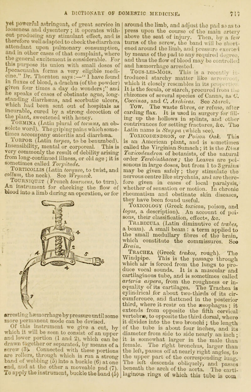 ydt i>o^tei*ml astringent, of great soi*vice in looseness and dysentery; it operates with- out producing any stimulant effect, and is therefore well adapted to check the diarrhoea attendant upon pulmonary consumption, and in other cases of that complaint, where the general excitement is considerable. For this purpose its union with small doses of Ipecacuanha forms a very eligible medi- cine.” Dr. Thornton says :—‘‘ 1 have found in fluxes of blood, a drachm (of the powder) given four times a day do wonders;” and he speaks of cases of obstinate ague, long- standing diari'hoeas, and scorbutic ulcers, which had been sent out of hospitals as ineurable, cured by a sti*ong decoction of the plant, sweetened with honey. Tormina (Latin plural of tormics, an ob- solete word). The grilling pains which some- times accompany enteritis and diarrhoea. Torpor (Latin torpeo, to be benumbed). Insensibility, mental or corporeal. This is very commonly the result of debility arising from long-continued illness, or old age ; it is sometimes called Torpitude. Torticollis (Latin torqueo, to twist, and collum, the neck). See Wryneck. Tourniquet (French ioicrneits, to turn). An instrument for checking the flow of blood into a limb during an operation, or for arresting haemorrhage by pressm-e until some more permanent mode can be devised. Of this instrument we give a cut, by which it will be seen to consist of an upper and lower portion (1 and 2), which can be drawn together or separated, by means of a screw (3). Connected with these portions are rollers, through which is run a strong band of webbing (5) into a buckle (6) at one end, and at the other a moveable pad (7). To ai>ply tho instrument, buckle the band (5) around the limb, and adju.st the pad so as ti) press upon the course of tho main artery above the seat of injury. Then, by a few turns of the screw, the band will be short- ened around the limb, and pressure exerted by means of the pad to any required degree, and thus the flow of blood may be controlled and hajmorrhage arrested, Toqs-LES-Mois. This is a reccrdiy iin- troduced starchy matter like ai rowVoc'-. which it closely resembles in its t)roportio:- It is the fecula, or starch, procured from tiio rhizomes of several species of Canna, as <J. Coccinea, and C. Archiras. See Starc/i. Tow. The waste fibres, or refuse, after carding flax. It is used in surgery for I'ill- ing up the hollows in splints, and other contrivances for setting fractures, &c. Tho Latin name is Sluppa (which see). Toxicodendron, or Poison Oak. This is an American plant, and is sometimes called the Virginian Sumach; it is the PJius Toxicodendron of botanists, of the natural order Terebinthacece; the Leaves are poi- sonous in large doses, but from 1 to 3 grains may be given safely ; they stimulate tho nei'vous centi’e like strychnia, and are there- fore given in cases of local paralysis, whether of sensation or motion. In chronic rheumatism and obstinate skin diseases, they have been found useful. Toxicology (Greek toxicon, poison, and logos, a description). An account of poi- sons, their classification, effects, &c. Trabecula (Latin diminutive of irales, a beam). A small beam : a term applied to the small medullary fibres of the brain, which constitute the commissures. See Brain. Trachea (Greek trakos, rough). Tho Windpipe. This is the passage through which air is forced from tho lungs to pro- duce vocal sounds. It is a muscular and cartilaginous tube, and is sometimes called arieria aspera, from the roughness or in- e(piality of its cartilages. The Trachea ia cylindrical for about two-thirds of its cir- cumference, and flattened in the posterior third, where it rests on the aesophagus ; it extends from opposite the fifth cervical vertebrie, to opposite the third dorsal, where it divides into the two bronchi; the length of the tube is about four inches, and its diapaeter from side to side nearly an inch ; it is somewhat larger in the male than female. The right bronchu.s, larger than the left, passes off at nearly right angles, to the upper part of the corresponding lung. The left descends obliquely, and passes beneath the arch of the aorta. The caiffi- laginous rings of which this tube is cota