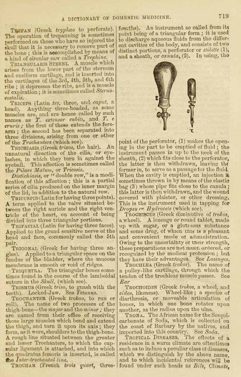 T^PAN (Greek trypliao to perforate). The operation of trepanning’ is sometimes performed on those who have so injured the skull that it is necessary to remove part of the bone ; this is accomplished by means of a kind of circular saw called a Trephine.^ Triangularis Sterni. A muscle which arises from the lower part of the sternum and ensiform cartilage, and is inserted into the cartilages of the 3rd, 4th, 5th, and 6th ribs ; it depresses the ribs, and is a muscle of expiration; it is sometimes called Sterno- costal is. Triceps (Latin tre, three, and caput, a head). Anything three-headed, as some muscles are, and are hence called by such names as T. extensor cuhiti, and T. e cruris ; the first of these extends the fore- arm ; the second has been separated into three divisions, arising from one or other of the Trochanters (which see). Trichiasis (Greek trixos, the hair). An unnatural direction of the cilia, or eye- lashes, in which they turn in against the eyeball. This affection is sometimes called the Pilare Malum, or Tricosis. Distichiasis, or “ double row,” is a modi- fication of this affection ; this is a partial series of cilia produced on the inner margin of the lid, in addition to the natural row. TRiCUSPiD(Latinfor having three points). A term applied to the valve situated be- tween the right auricle and the right ven- ti'icle of the heart, on account of being divided into three triangular portions. Trifacial (Latin for having three faces). Applied to the grand sensitive nerve of the head and face, commonly called the 6th pair. Trigonal (Greek for having three an- gles). Applied to a triangular space on the fundus of the bladder, where the mucous membrane is smooth or void of ridges. • Triquetra. The rtiangular bones some- times found in the course of the lamboidal suture in the Skull, (which see). Trismus (Greek triso, to gnash with the teeth). Locked-Jaw. See I'etanus. Trochanter (Greek trokao, to inin or roll). The name of two processes of the thigh-bone—the major and the minor ; they are named from their office of receiving those large muscles which bend and extend the thigh, and turn it upon its axis; they form, as it were, shoulders to the thigh-bone. A rough line situated between the greater and lesser Trochanters, to which the cap- sular ligament is attached, and into which the nuadratus femoris is inserted, is called ®ie Inter-trochanial line. Trochar (French trois quart, three- fourths). An instrument so called from its point being of a triangular form ; it is used to discharge aqueous fluids from the differ- ent cavities of the body, and consists of two distinct portions, a perforator or stilette (1), and a sheath, or canula, (2). In using, tho point of the perforator, (1) makes the open- ing in the part to be emptied of fluid ; the instrument passes in up to the neck of the sheath, (2) which fits close to the perforator, the latter is then withdrawn, leaving thf former in, to serve as a passage for the fluid. When the cavity is emptied, an injection ife sometimes thrown in by means of the elastic bag (3) whose pipe fits close to the canula ; this latter is then withdrawn, and the wound covered with plaister, or other dressing. This is the instrument used in tapping for Dropsy or Hydrocele (which see). Trochiscus (Greek diminutive of trokos, a wheel). A lozenge or round tablet, made up with sugar, or a glutioous substance and some drug, of whicn this is a pleasant and convenient mode oi administration. Owing to the uncertainty or tneir strength, these preparations are not much ordered, or recognized by the medical profession ; but they have their advantages. See Lozenges. Trochlea (Greek trokos). The name of a pulley-like cartilage, through which the tendon of the trochlear muscle passes. See Ear Trochoides (Greek trokos, a wheel, and eidos, likeness). Wheel-like ; a species of diarthrosis, or moveable articulation of bones, in which one bone rotates upon another, as the radius upon the ulna. TroNa. The African name for the Sesqui- carbonate of Soda, which is collected on the coast of Barbary by the natives, and imported into this country. See Soda. Tropical Diseases. The eflects of a residence in a warm climate are oftentimes such as to induce a peculiar class of diseases, which we distinguish by the above name, and to which incidental references will be found under such heads as Bile, Climate,