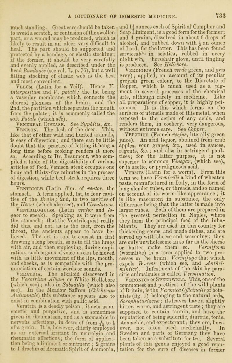 much standing. Great care should be taken to avoid a scratch, or contusion of the swollen >art, or a wound maybe produced, which is ikely to result in an ulcer very difficult to leal. The part should be supported and protected by a bandage, or elastic stocking; if the former, it should be very carefully and evenly applied, as described under the Bandages (see vol. I., p. 76), but a well fitting stocking of elastic web is the best and most convenient. Vell'm (Latin for a Veil)'. Hence V. interpositum and V. palati; the 1st being a vascular membrane which connects the choroid plexuses of the brain; and the 2nd, the partition which separates the mouth from the palate; it is commonly called the soft Palate (which s^e). Venereal Disease. See Syphilis, &c. Venison. The flesh of the deer. This, like that of other wild and hunted animals, is easy of digestion; and there can be little doubt that the practice of letting it hang a long time before cooking renders it more so. According to Dr. Beaumont, who com- piled a table of the digestibility of various articles of food. Venison steak occupies one hour and thirty-five minutes in the process of digestion, while beef-steak requires three hours. Ventricle (Latin dim. of ventor, the stomach. A terra applied, 1st, to four cavi- ties of the Brain; 2nd, to two cavities of the Heart (which also see), and Circulation. Ventriloquism (Latin ventor and lo- quor io speak). Speaking as it were from the stomach ; that the Ventriloquist really did this, and not, as is the fact, from the throat, the ancients appear to have be- lieved. The art is said to consist in first drawing a long breath, so as to fill the lungs with air, and then employing, during expi- ration, such organs of voice as can be moved with as little movement of the lips, mouth, and cheeks, as is compatible with the pro- nunciation of certain words or sounds. VerATRIA. The alkaloid discovered in the Veratrium Album or White Hellebore (which see); also in Sabadilla (which also see). In the Meadow Saffron {Colchicwn Autumnale) this substance appears also to exist in combination with gallic acid. Veratria is a deadly poison; it acts as an emetic and purgative, and is sometimes given in rheumatism, and as a stomachic in nervotis affections, in dosfs of from to ^ of a grain. It is, however, chiefly employed as an external irritant in neuralgic and rheumatic affections; the form of applica- tion being a liniment or ointment; 2 grains to 1 drachm of Aromatic Spirit of Ammonia, and 11 ounces each of Spirit of Camphor and Soap Liniment, is a good form for the former; and 4 grains, dissolved in about 6 drops of alcohol, and rubbed down with \ an ounce of Lard, for the latter. This has been found serviccaV<=‘ in sciatica, rubbed in every night wiS. horsehair glove, until tingling is produceti. See Hellebore. Verdigris (French verdc green, and gns grey); applied, on account of its peculiar greyish green colour, to the Diacetate of Copper, which is much used as a pig- ment in several processes of the chemical arts, although rarely in medicine. Like all preparations of copper, it is highly poi- sonous. It is this which forms on the surfaces of utensils made of this metal, when exposed to the action of any acids, and renders them, in cookery, very dangerous, without extreme care. See Copper. Verjuice (French verjus, literally green juice). An acid liquor, obtained from crab apples, sour grapes, &c., used in sauces, ragouts, &c.; and also in astringent poul- tices; for the latter purpose, it is not superior to common Vinegar, (which see), or to acetic, or pyroligneous acid. Vermes (Latin for a worm). From this term we have Vermicelli a kind of wheaten paste, manufactured in Italy, in the form of long slender tubes, or threads, and so named on account of its worm-like appearance ; it is like maccaroni in substance, the only difference being that the latter is made into larger tubes. Both of them are prepared in the greatest perfection in Naples, where they form the principal food of the inha- bitants. They are used in this country for thickening soups and made dishes, and are served up with cheese and seasoning ; they are only unwholesome in so far as the cheese or butter make them so. Vermiform (wormlike) is a term applied to two pro- cesses ol he brain. Vermifuge that which expels Worms (which see, and Antheh mintics). Infestment of the skin by para- sitic animalcules is called Vermination. Veronica or Speedwell. This, one of the commonest and prettiest of the wild plants of Britain, is the Veronica Oficinalis of bota- nists (fig. 1) belonging to the natural ord<v Scrophuluriacece; its leaves have a slightly bitter, warm, and astringent taste ; they are supposed to contain tannin, and have the reputation of being sudorific, diuretic, tonic, stomachic, and expectorant; they are, how- ever, not often used medicinally. In Sweden and parts of Germany they have been taken as a substitute for tea. Several plants of this genus enjoyed a good repu- tation for the cure of diseases in former