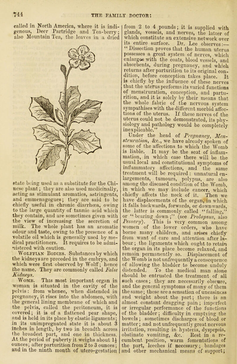 called in North America, where it is indi- genous, Deer Partridge and Tea-berry; also Mountain Tea, the leaA’es in a dried state being used as a substitute for the Chi- nese plant; they are also used medicinally, acting as stimulant aromatics, astringents, and emmenagogues; they are said to be chiefly useful in chronic diarrhoea, owing to the large quantity of tannic acid which they contain, and are sometimes given with the view of increasing the secretion of milk. The whole plant has an aromatic odour and taste, owing to the presence of a volatile oil which is generally used by me- dical practitioners. It requires to be admi- nistered with caution. Wolffian Bodies. Substances by which the kidneys are preceded in the embryo, and which were first observed by Wolff; hence the name. They are commonly called False Kidneys. Womb. This most important organ in woman is situated in the cavity of the pelvis; from whence, when distended in pregnancy, it rises into the abdomen, with the general lining membrane of which and the pelvis, called the peritoneum, it is covered; it is of a flattened pear shape, and is held in its place by elastic ligaments; in its unimpregnated state it is about 3 inches in length, by two in breadth across the broadest part, and one in thickness. At the period of puberty it weighs about ounces; after parturition from 2 to 3 ounces; and in the ninth month of utero-gestation from 2 to 4 pounds; it is supplied with glands, vessels, and nerves, the latter of which constitute an extensive network over its entire surface. Dr. Lee observes: “ Dissection proves that the human uterus possesses a great system of nerves, which enlargoe with the coats, blood vessels, and absorbents, during pregnancy, and which returns after parturition to its original con- dition, before conception takes place. It is chiefly by the influence of these nerves that the uterus performs its varied functions of menstruration, conception, and partu- rition, and it is solely by their means that the whole fabric of the nervous system sympathises with the different morbid affec- tions of the uterus. If these nerves of the uterus could not be demonstrated, its phy- siology and pathology would be completely inexplicable.” Under the head of Pregnancy., Men- struraiion, &c., we have already spoken of pine of the affections to which the A7omb is liable. It may be the seat of inflam- mation, in which case there will be the usual local and constitutional symptoms of inflammatory afiections, and the same treatment will be required : unnatural en- largements, tumours, polypus, are also among the diseased condition of the Womb, in which we may include cancer, which chiefly affects the neck of it. Then we have displacements of the organ, in which it falls backwards, forwards, or downwards, the latter is commonly called “falling,” or “bearing down;” (see Prolapsus, also Pessary). This is very common among women of the lower ordei’s, who have borne many children, and arises chiefly from Avant of care and attention after la- bour ; the ligaments which ought to retain the organ in its place become relaxed, and remain permanently so. Displacement of the Womb is not unfrequently a consequence of allowing the bladder to become unduly distended. To the medical man alone should be entrusted the treatment of all such cases; the}' are necessarily obscure, and the general symptoms of many of them the same; these are a sensation of uneasiness and Aveight about the part; there is an almost constant dragging pain; imperfect or irregular performance of the functions of the bladder; difficulty in emptying the boAvcls; sometimes discharges of bloW or matter; and not unfrequently great nervous irritation, resulting in hysteria, dyspepsia, obstinate vomiting, &c. Best in a re- cumbent position, warm fomentations of the part, leeches if necessary; bandages and other mechanical means of support;