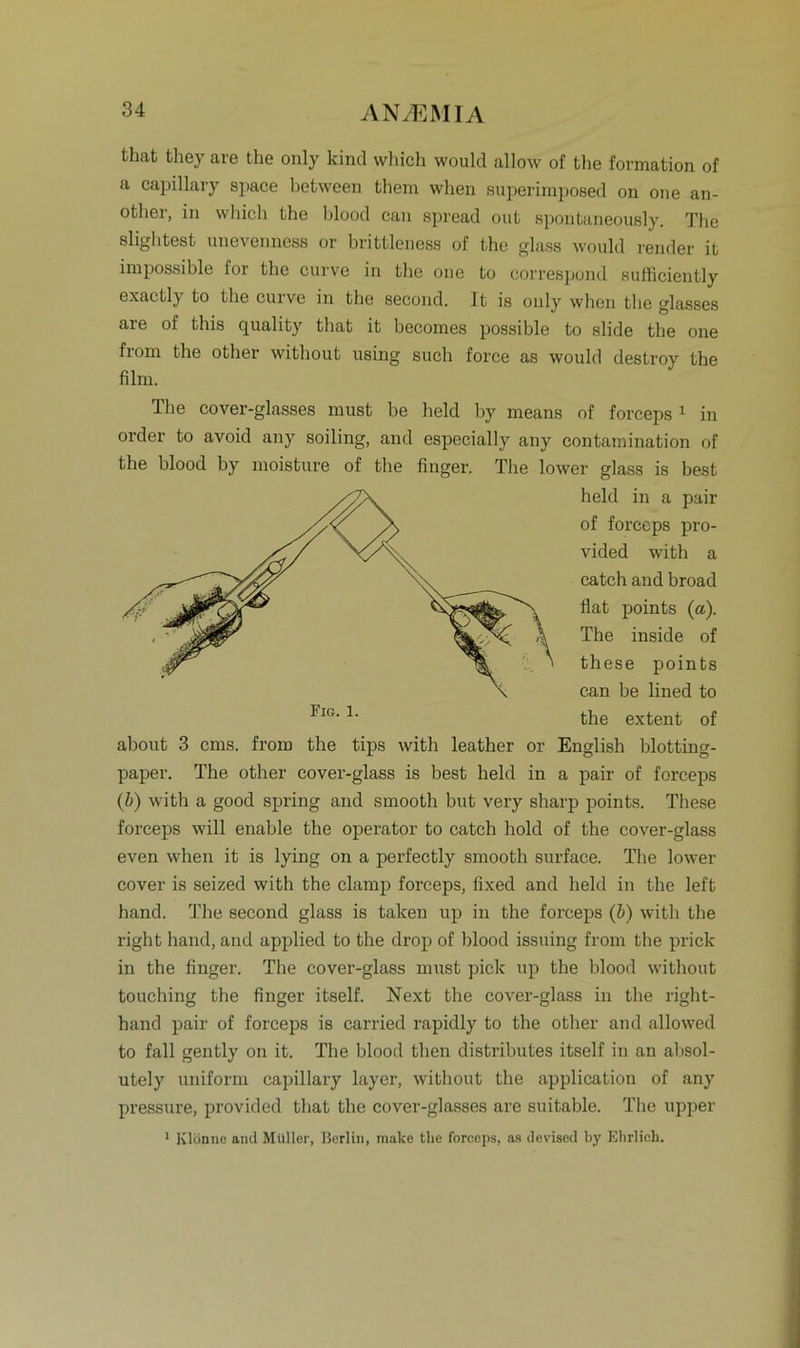 that they are the only kind whieh would allow of the formation of a capillary space between them when superimposed on one an- otlier, in which the blood can spread out spontaneously. The slightest unevenness or brittleness of the glass would render it impossihle for the curve in the one to correspond sufficiently exactly to the curve in the second. 1t is only when the glasses are of this quality that it becomes possible to slide the one from the other without using such force as would destrov the film. The cover-glasses must be held hy means of forceps 1 in order to avoid any soiling, and especially any contamination of the blood by moisture of the finger. The lower glass is best held in a pair of forceps pro- vided with a catch and broad flat points (a). The inside of these points can be lined to the extent of about 3 cms. from the tips with leather or English blotting- paper. The other cover-glass is best held in a pair of forceps (b) with a good spring and smootli but very sharp points. These forceps will enable the operator to catch hold of the cover-glass even when it is lying on a perfectly smooth surface. The lower cover is seized with the clamp forceps, fixed and held in the left hand. The second glass is taken up in the forceps (b) with the right hand, and applied to the drop of blood issuing from the prick in the finger. The cover-glass must pick up the blood without touching the finger itself. Next the cover-glass in the right- hand pair of forceps is carried rapidly to the other and allowed to fall gently on it. The blood then distributes itself in an absol- utely uniform capillary layer, without the application of any pressure, provided that the cover-glasses are suitable. The upper 1 lvlönne and Müller, Berlin, make the forceps, as devised hy Ehrlich.