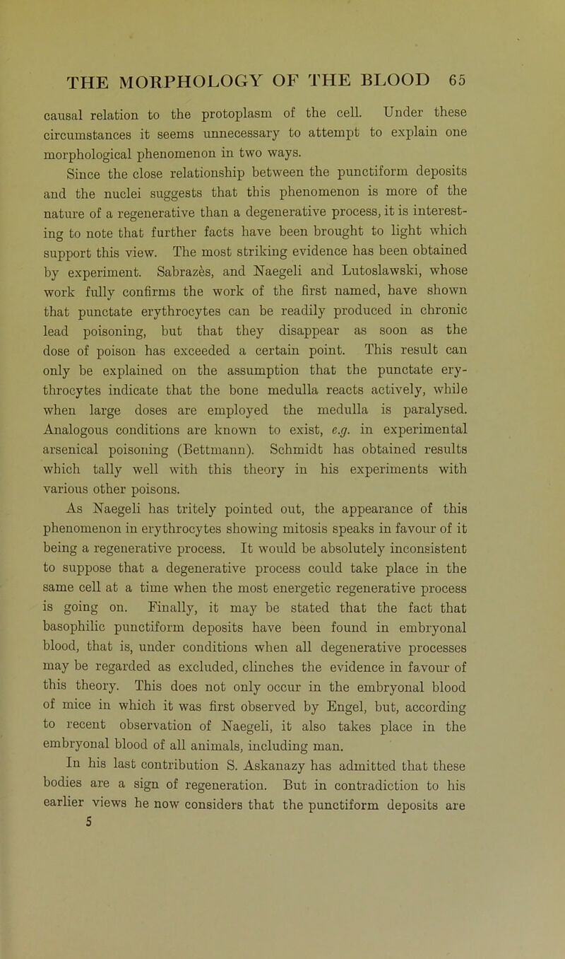 causal relation to the protoplasm of the cell. Under these circumsfcances it seems unnecessary to attempt to explain one morphological phenomenon in two ways. Since the close relationship between the punctiform deposits and the nuclei suggests that this phenomenon is more of the nature of a regenerative than a degenerative process, it is interest- ing to note that further facts have beeil brought to light which support this view. The most striking evidence has been obtained by experiment. Sabraz&s, and Naegeli and Lutoslawski, whose work fully confirms the work of the first named, have shown that punctate erythrocytes can be readily produced in chronic lead poisoning, hut that they disappear as soon as the dose of poison has exceeded a certain point. This result can only be explained on the assumption that the punctate ery- throcytes indicate that the bone medulla reacts actively, while when large doses are employed the medulla is paralysed. Analogous conditions are known to exist, c.g. in experimental arsenical poisoning (Bettmann). Schmidt has obtained results which tally well with this theory in his experiments with various other poisons. As Naegeli has tritely pointed out, the appearance of this phenomenon in erythrocytes showing mitosis speaks in favour of it being a regenerative process. It would be absolutely inconsistent to suppose that a degenerative process could take place in the same cell at a time when the most energetic regenerative process is going on. Finally, it may be stated that the fact that basophilic punctiform deposits have been found in embryonal blood, that is, under conditions when all degenerative processes may be regarded as excluded, clinches the evidence in favour of this theory. This does not only oecur in the embryonal blood of mice in which it was first observed by Engel, but, according to recent observation of Naegeli, it also takes place in the embryonal blood of all animals, including man. In his last contribution S. Askanazy has admitted that these bodies are a sign of regeneration. But in contradiction to his earlier views he now considers that the punctiform deposits are 5