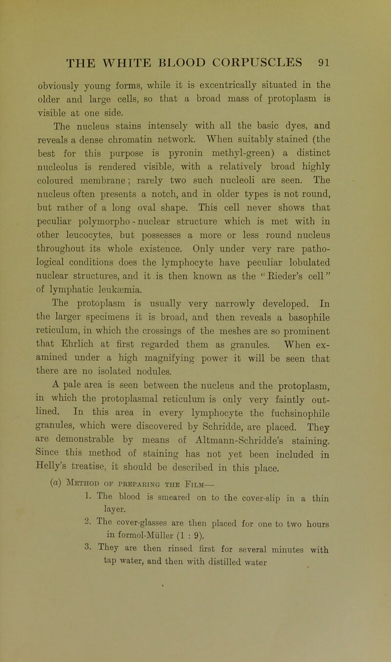 obviously young forms, while it is exeentrically situated in the older and large cells, so that a broad mass of protoplasm is visible at one side. The nucleus stains intensely with all the basic dyes, and reveals a dense chromatin network. When suitably stained (the best for this purpose is pyronin methyl-green) a distinct nucleolus is rendered visible, with a relatively broad highly coloured membrane; rarely two such nucleoli are seen. The nucleus often presents a notch, and in older types is not round, but rather of a long oval shape. This cell never shows that peculiar polymorpho - nuclear structure which is met with in other leucocytes, but possesses a more or less round nucleus throughout its whole existence. Only under very rare patho- logical conditions does the lymphocyte have peculiar lobulated nuclear structures, and it is then known as the “ Eieder’s cell ” of lymphatic leukaemia. The protoplasm is usually very narrowly developed. In the larger specimens it is broad, and then reveals a basophile reticulum, in which the crossings of the meshes are so prominent that Ehrlich at first regarded them as granules. When ex- amined under a high magnifying power it will be seen that there are no isolated nodules. A pale area is seen between the nucleus and the protoplasm, in which the protoplasmal reticulum is only very faintly out- lined. In this area in every lymphocyte the fuchsinophile granules, which were discovered by Schridde, are placed. They are demonstrable by means of Altmann-Schridde’s staining. Since this method of staining has not yet been included in Helly’s treatise, it should be described in this place. (a) Method of frepauing the Film— 1. The blood is smeared on to the cover-slip in a thin layer. 2. The cover-glasses are then placed for one to two hours in formol-Müller (1 : 9). 3. They are then rinsed first for several nrinutes with tap water, and then with distilled water