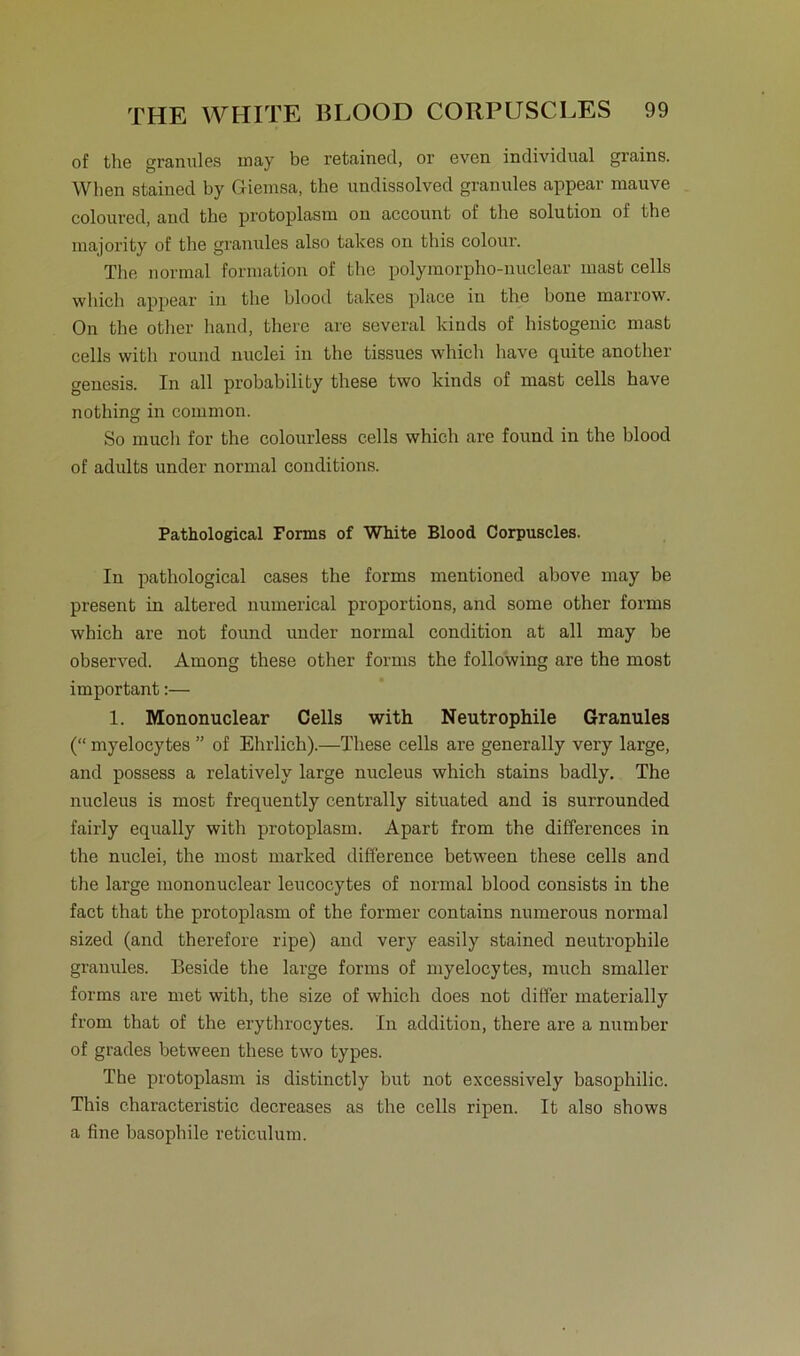 of the granules may be retained, or even individual grains. When stained by Giemsa, the undissolved granules appear mauve coloured, and the protoplasm on account of the solution of the majority of the granules also takes on this colour. The normal formation of the polymorpho-nuclear mast cells wliich appear in the hlood takes place in the hone marrow. On the other lnand, there are several kinds of histogenic mast cells with round nuclei in the tissues which have quite another genesis. In all probability these two kinds of mast cells have nothing in common. So mucli for the colourless cells which are found in the blood of adults under normal conditions. Pathological Fomis of White Blood Corpuscles. In pathological cases the forms mentioned above may be present in altered numerical proportions, and some other forms which are not found under normal condition at all may be observed. Among these other forms the following are the most important:— 1. Mononuclear Cells with Neutrophile Granules (“ myelocytes ” of Ehrlich).—These cells are generally very large, and possess a relatively large nucleus which stains badly. The nucleus is most frequently centrally situated and is surrounded fairly equally with protoplasm. Apart from the differences in the nuclei, the most marked difference between these cells and the large mononuclear leucocytes of normal blood consists in the fact that the protoplasm of the former contains numerous normal sized (and therefore ripe) and very easily stained neutrophile granules. Beside the large forms of myelocytes, much smaller forms are met with, the size of which does not differ materially from that of the erythrocytes. In addition, there are a number of grades between these two types. The protoplasm is distinctly but not excessively basophilic. This characteristic decreases as the cells ripen. It also shows a fine basophile reticulum.
