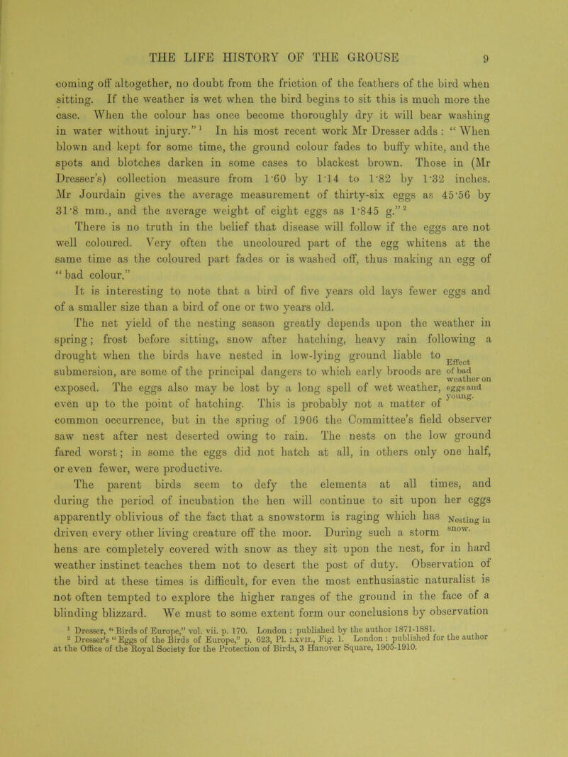 coming off altogether, no doubt from the friction of the feathers of the bird when sitting. If the weather is wet when the bird begins to sit this is much more the case. When the colour has once become thoroughly dry it will bear washing in water without injury.”1 In his most recent work Mr Dresser adds: “When blown and kept for some time, the ground colour fades to buft'y white, and the spots and blotches darken in some cases to blackest brown. Those in (Mr Dresser’s) collection measure from 1’60 by 1T4 to l-82 by 1'32 inches. Mr Jourdain gives the average measurement of thirty-six eggs as 45’56 by 31‘8 mm., and the average weight of eight eggs as D845 g.”2 There is no truth in the belief that disease will follow if the eggs are not well coloured. Very often the uncoloured part of the egg whitens at the same time as the coloured part fades or is washed off, thus making an egg of “ bad colour.” It is interesting to note that a bird of five years old lays fewer eggs and of a smaller size than a bird of one or two years old. The net yield of the nesting season greatly depends upon the weather in spring; frost before sitting, snow after hatching, heavy rain following a drought when the birds have nested in low-lying ground liable to submersion, are some of the principal dangers to which early broods are of bad -L 0 weather on exposed. The eggs also may be lost by a long spell of wet weather, eggs and even up to the point of hatching. This is probably not a matter of  common occurrence, but in the spring of 1906 the Committee’s field observer saw nest after nest deserted owing to rain. The nests on the low ground fared worst; in some the eggs did not hatch at all, in others only one half, or even fewer, were productive. The parent birds seem to defy the elements at all times, and during the period of incubation the hen will continue to sit upon her eggs apparently oblivious of the fact that a snowstorm is raging which has Nestiug iu driven every other living creature off the moor. During such a storm sno’- hens are completely covered with snow as they sit upon the nest, for in hard weather instinct teaches them not to desert the post of duty. Observation of the bird at these times is difficult, for even the most enthusiastic naturalist is not often tempted to explore the higher ranges of the ground in the face of a blinding blizzard. We must to some extent form our conclusions by observation 1 Dresser, “ Birds of Europe,” vol. vii. p. 170. London: published by the author 1871-1881. - Dresser’s “Eggs of the Birds of Europe,” p. 623, PI. lxvii., Fig. 1. London : published for the author at the Office of the Royal Society for the Protection of Birds, 3 Hanover Square, 1905-1910.