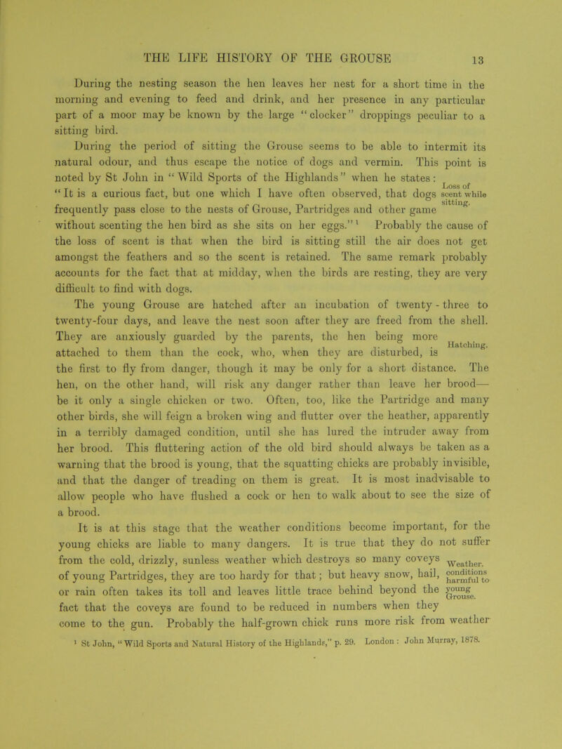 Hatching. During the nesting season the hen leaves her nest for a short time in the morning and evening to feed and drink, and her presence in any particular part of a moor maybe known by the large “docker” droppings peculiar to a sitting bird. During the period of sitting the Grouse seems to be able to intermit its natural odour, and thus escape the notice of dogs and vermin. This point is noted by St John in “ Wild Sports of the Highlands ” when he states: “It is a curious fact, but one which I have often observed, that dogs scent while frequently pass close to the nests of Grouse, Partridges and other game without scenting the hen bird as she sits on her eggs.” 1 Probably the cause of the loss of scent is that when the bird is sitting still the air docs not get amongst the feathers and so the scent is retained. The same remark probably accounts for the fact that at midday, when the birds are resting, they are very difficult to find with dogs. The young Grouse are hatched after an incubation of twenty - three to twenty-four days, and leave the nest soon after they are freed from the shell. They are anxiously guarded by the parents, the hen being more attached to them than the cock, who, when they are disturbed, is the first to fly from danger, though it may be only for a short distance. The hen, on the other hand, will risk any danger rather than leave her brood— be it only a single chicken or two. Often, too, like the Partridge and many other birds, she will feign a broken wing and flutter over the heather, apparently in a terribly damaged condition, until she has lured the intruder away from her brood. This fluttering action of the old bird should always be taken as a warning that the brood is young, that the squatting chicks are probably invisible, and that the danger of treading on them is great. It is most inadvisable to allow people who have flushed a cock or hen to walk about to see the size of a brood. It is at this stage that the weather conditions become important, for the young chicks are liable to many dangers. It is true that they do not suffer from the cold, drizzly, sunless weather which destroys so many coveys Weather of young Partridges, they are too hardy for that; but heavy snow, hail, or rain often takes its toll and leaves little trace behind beyond the fact that the coveys are found to be reduced in numbers when they come to the gun. Probably the half-grown chick runs more risk from weathei 1 St John, “Wild Sports and Natural History of the Highlands,” p. 29. London : John Murray, 1878.