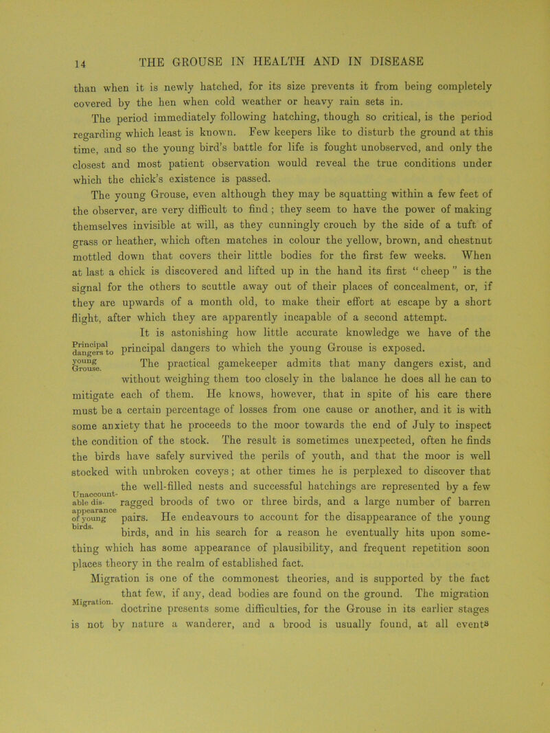 than when it is newly hatched, for its size prevents it from being completely covered by the hen when cold weather or heavy rain sets in. The period immediately following hatching, though so critical, is the period regarding which least is known. Few keepers like to disturb the ground at this time, and so the young bird’s battle for life is fought unobserved, and only the closest and most patient observation would reveal the true conditions under which the chick’s existence is passed. The young Grouse, even although they may be squatting within a few feet of the observer, are very difficult to find ; they seem to have the power of making themselves invisible at will, as they cunningly crouch by the side of a tuft of grass or heather, which often matches in colour the yellow, brown, and chestnut mottled down that covers their little bodies for the first few weeks. When at last a chick is discovered and lifted up in the hand its first “ cheep ” is the signal for the others to scuttle away out of their places of concealment, or, if they are upwards of a month old, to make their effort at escape by a short flight, after which they are apparently incapable of a second attempt. It is astonishing how little accurate knowledge we have of the principal dangers to which the young Grouse is exposed. The practical gamekeeper admits that many dangers exist, and without weighing them too closely in the balance he does all he can to mitigate each of them. He knows, however, that in spite of his care there must be a certain percentage of losses from one cause or another, and it is with some anxiety that he proceeds to the moor towards the end of July to inspect the condition of the stock. The result is sometimes unexpected, often he finds the birds have safely survived the perils of youth, and that the moor is well stocked with unbroken coveys; at other times he is perplexed to discover that t the well-filled nests and successful hatchings are represented by a few able dis- ragged broods of two or three birds, and a large number of barren of3young10 pairs. He endeavours to account for the disappearance of the young birds, and in his search for a reason he eventually hits upon some- thing which has some appearance of plausibility, and frequent repetition soon places theory in the realm of established fact. Migration is one of the commonest theories, and is supported by the fact that few, if any, dead bodies are found on the ground. The migration M'Kru doctrine presents some difficulties, for the Grouse in its earlier stages is not by nature a wanderer, and a brood is usually found, at all events Principal dangers to young Grouse.