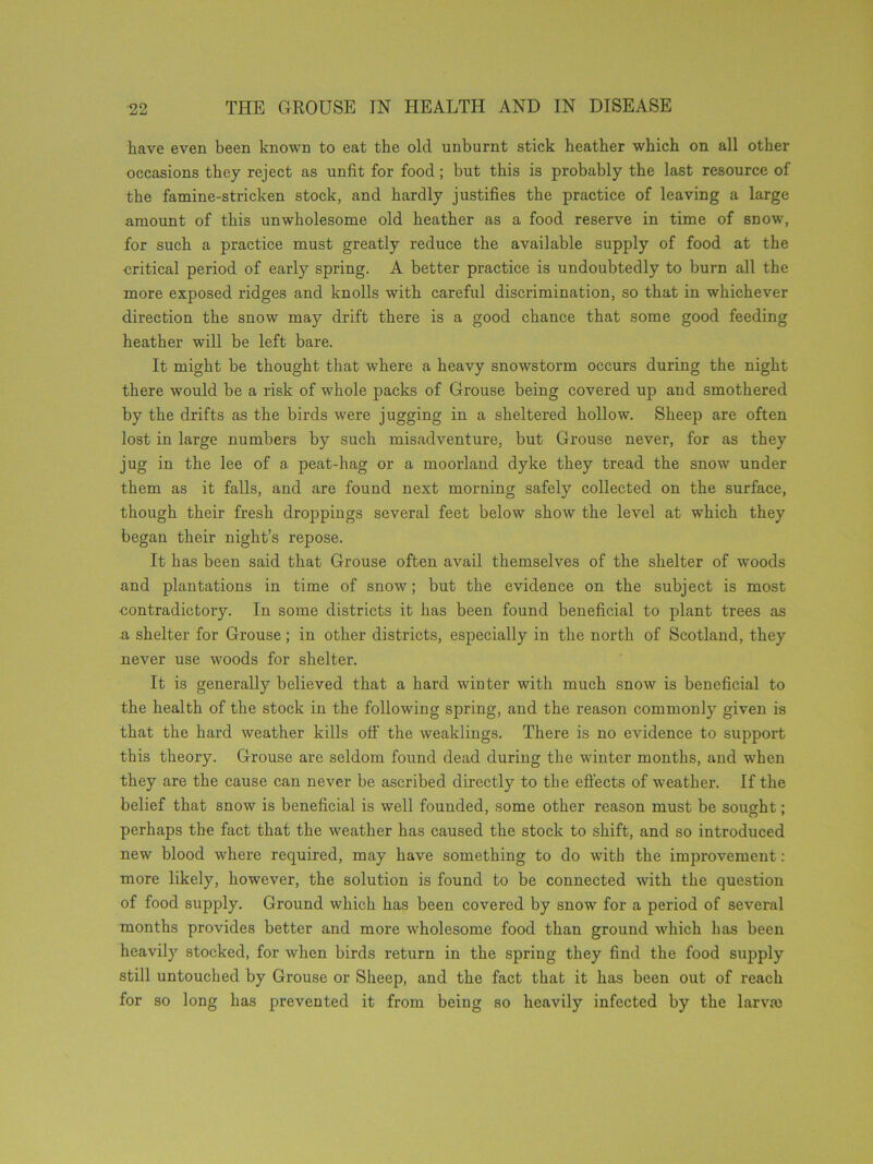 have even been known to eat the old unburnt stick heather which on all other occasions they reject as unfit for food; but this is probably the last resource of the famine-stricken stock, and hardly justifies the practice of leaving a large amount of this unwholesome old heather as a food reserve in time of snow, for such a practice must greatly reduce the available supply of food at the critical period of early spring. A better practice is undoubtedly to burn all the more exposed ridges and knolls with careful discrimination, so that in whichever direction the snow may drift there is a good chance that some good feeding heather will be left bare. It might be thought that where a heavy snowstorm occurs during the night there would be a risk of whole packs of Grouse being covered up and smothered by the drifts as the birds were jugging in a sheltered hollow. Sheep are often lost in large numbers by such misadventure, but Grouse never, for as they jug in the lee of a peat-hag or a moorland dyke they tread the snow under them as it falls, and are found next morning safely collected on the surface, though their fresh droppings several feet below show the level at which they began their night’s repose. It has been said that Grouse often avail themselves of the shelter of woods and plantations in time of snow; but the evidence on the subject is most contradictory. In some districts it has been found beneficial to plant trees as a shelter for Grouse; in other districts, especially in the north of Scotland, they never use woods for shelter. It is generally believed that a hard winter with much snow is beneficial to the health of the stock in the following spring, and the reason commonly given is that the hard weather kills oil’ the weaklings. There is no evidence to support this theory. Grouse are seldom found dead during the winter months, and when they are the cause can never be ascribed directly to the effects of weather. If the belief that snow is beneficial is well founded, some other reason must be sought; perhaps the fact that the weather has caused the stock to shift, and so introduced new blood where required, may have something to do with the improvement: more likely, however, the solution is found to be connected with the question of food supply. Ground which has been covered by snow for a period of several months provides better and more wholesome food than ground which has been heavily stocked, for when birds return in the spring they find the food supply still untouched by Grouse or Sheep, and the fact that it has been out of reach for so long has prevented it from being so heavily infected by the larvm