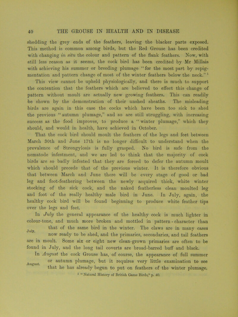 shedding the grey ends of the feathers, leaving the blacker parts exposed. This method is common among birds, but the Red Grouse has been credited with changing in situ the colour and pattern of the flank feathers. Now, with still less reason as it seems, the cock bird has been credited by Mr Millais with achieving his summer or breeding plumage “ for the most part by repig- mentation and pattern change of most of the winter feathers below the neck.” 1 This view cannot be upheld physiologically, and there is much to support the contention that the feathers which are believed to effect this change of pattern without moult are actually new growing feathers. This can readily be shown by the demonstration of their unshed sheaths. The misleading birds are again in this case the cocks which have been too sick to shed the previous “ autumn plumage,” and so are still struggling, with increasing success as the food improves, to produce a “ winter plumage,” which they should, and would in health, have achieved in October. That the cock bird should moult the feathers of the legs and feet between March 30th and June 17th is no longer difficult to understand when the prevalence of Strongylosis is fully grasped. No bird is safe from the nematode infestment, and we are led to think that the majority of cock birds are so badly infested that they are forced to defer the autumn moult which should precede that of the previous winter. It is therefore obvious that between March and June there will be every stage of good or bad leg and foot-feathering between the newly acquired thick, white winter stocking of the sick cock, and the naked featherless clean moulted leg and foot of the really healthy male bird in June. In July, again, the healthy cock bird will be found beginning to produce white feather tips over the legs and feet. In July the general appearance of the healthy cock is much lighter in colour-tone, and much more broken and mottled in pattern - character than j i that of the same bird in the winter. The claws are in many cases now ready to be shed, and the primaries, secondaries, and tail feathers are in moult. Some six or eight new clean-grown primaries are often to be found in July, and the long tail coverts are broad-barred buff and black. In August the cock Grouse has, of course, the appearance of full summer August °r au^umn plumage) but it requires very little examination to see that he has already begun to put on feathers of the winter plumage. 1 “ Natural History of British Game Birds,” p. 40.