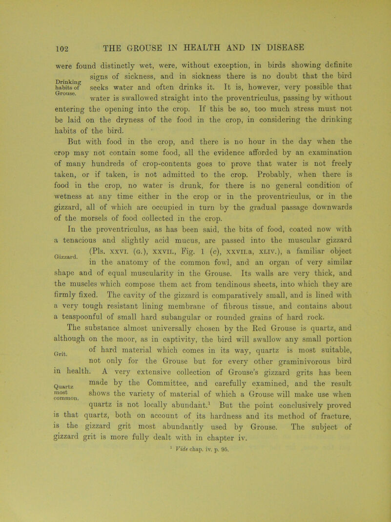 were found distinctly wet, were, without exception, in birds showing definite signs of sickness, and in sickness there is no doubt that the bird habits oF seeks water and often drinks it. It is, however, very possible that water is swallowed straight into the proventriculus, passing by without entering the opening into the crop. If this be so, too much stress must not be laid on the dryness of the food in the crop, in considering the drinking habits of the bird. But with food in the crop, and there is no hour in the day when the crop may not contain some food, all the evidence afforded by an examination of many hundreds of crop-contents goes to prove that water is not freely taken, or if taken, is not admitted to the crop. Probably, when there is food in the crop, no water is drunk, for there is no general condition of wetness at any time either in the crop or in the proventriculus, or in the gizzard, all of which are occupied in turn by the gradual passage downwards of the morsels of food collected in the crop. In the proventriculus, as has been said, the bits of food, coated now with a tenacious and slightly acid mucus, are passed into the muscular gizzard (Pis. xxvi. (g.), xxvii., Fig. 1 (c), xxvn.a, xliv.), a familiar object in the anatomy of the common fowl, and an organ of very similar shape and of equal muscularity in the Grouse. Its walls are very thick, and the muscles which compose them act from tendinous sheets, into which they are firmly fixed. The cavity of the gizzard is comparatively small, and is lined with a very tough resistant lining membrane of fibrous tissue, and contains about a teaspoonful of small hard subangular or rounded grains of hard rock. The substance almost universally chosen by the Red Grouse is quartz, and although on the moor, as in captivity, the bird will swallow any small portion of hard material which comes in its way, quartz is most suitable, not only for the Grouse but for every other graminivorous bird in health. A very extensive collection of Grouse’s gizzard grits has been Quartz made by the Committee, and carefully examined, and the result shows the variety of material of which a Grouse will make use when quartz is not locally abundant.1 But the point conclusively proved is that quartz, both on account of its hardness and its method of fracture, is the gizzard grit most abundantly used by Grouse. The subject of gizzard grit is more fully dealt with in chapter iv. 1 Vide chap. iv. p. 95. Gizzard. Grit. most common.