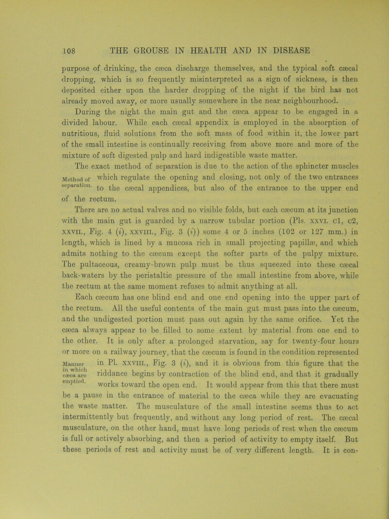 purpose of drinking, the caeca discharge themselves, and the typical soft csecal dropping, which is so frequently misinterpreted as a sign of sickness, is then deposited either upon the harder dropping of the night if the bird has not already moved away, or more usually somewhere in the near neighbourhood. During the night the main gut and the caeca appear to be engaged in a divided labour. While each csecal appendix is employed in the absorption of nutritious, fluid solutions from the soft mass of food within it, the lower part of the small intestine is continually receiving from above more and more of the mixture of soft digested pulp and hard indigestible waste matter. The exact method of separation is due to the action of the sphincter muscles Method of which regulate the opening and closing, not only of the two entrances separation. {.}ie c8ecaq appendices, but also of the entrance to the upper end of the rectum. There are no actual valves and no visible folds, but each caecum at its junction with the main gut is guarded by a narrow tubular portion (Pis. xxvi. cl, c2, xxvn., Fig. 4 (i), xxviii., Fig. 3 (i)) some 4 or 5 inches (102 or 127 mm.) in length, which is lined by a mucosa rich in small projecting papillae, and which admits nothing to the caecum except the softer parts of the pulpy mixture. The pultaceous, creamy-brown pulp must be thus squeezed into these caecal back-waters by the peristaltic pressure of the small intestine from above, while the rectum at the same moment refuses to admit anything at all. Each caecum has one blind end and one end opening into the upper part of the rectum. All the useful contents of the main gut must pass into the caecum, and the undigested portion must pass out again by the same orifice. Yet the caeca always appear to be filled to some extent by material from one end to the other. It is only after a prolonged starvation, say for twenty-four hours or more on a railway journey, that the caecum is found in the condition represented Manner in PI. xxviii., Fig. 3 (i), and it is obvious from this figure that the c<eea are riddance begins by contraction of the blind end, and that it gradually emptied. works toward the open end. It would appear from this that there must be a pause in the entrance of material to the caeca while they are evacuating the waste matter. The musculature of the small intestine seems thus to act intermittently but frequently, and without any long period of rest. The csecal musculature, on the other hand, must have long periods of rest when the caecum is full or actively absorbing, and then a period of activity to empty itself. But these periods of rest and activity must be of very different length. It is con-